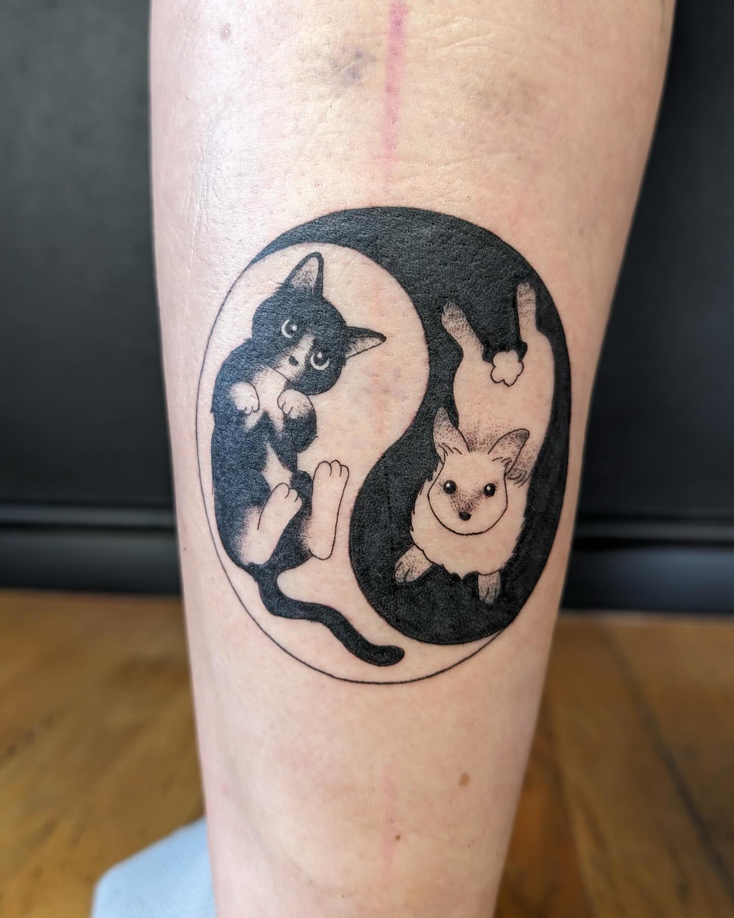 Cat and dog in yin-yang black and grey tattoo on the forearm by π²π°πket