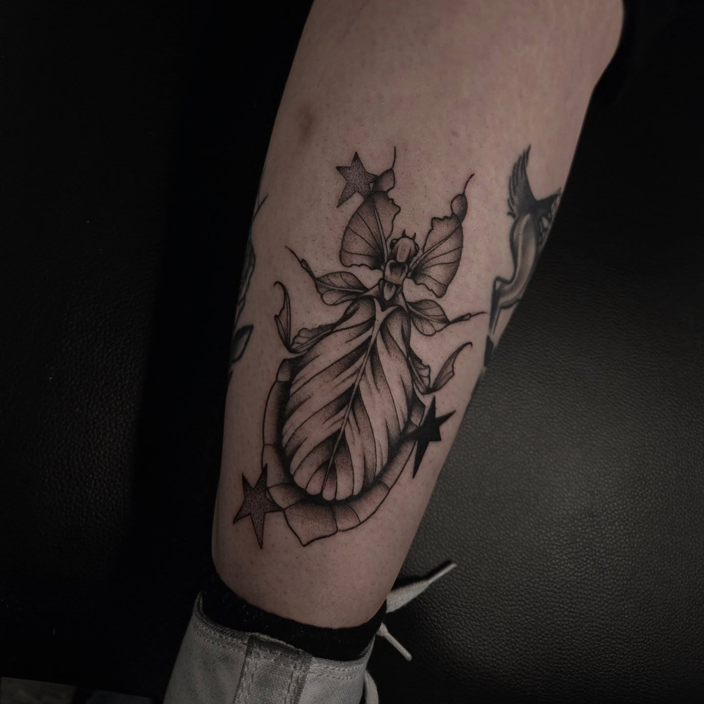 Butterfly and leaf dotwork tattoo on the forearm by Alexandra Colella ✨️