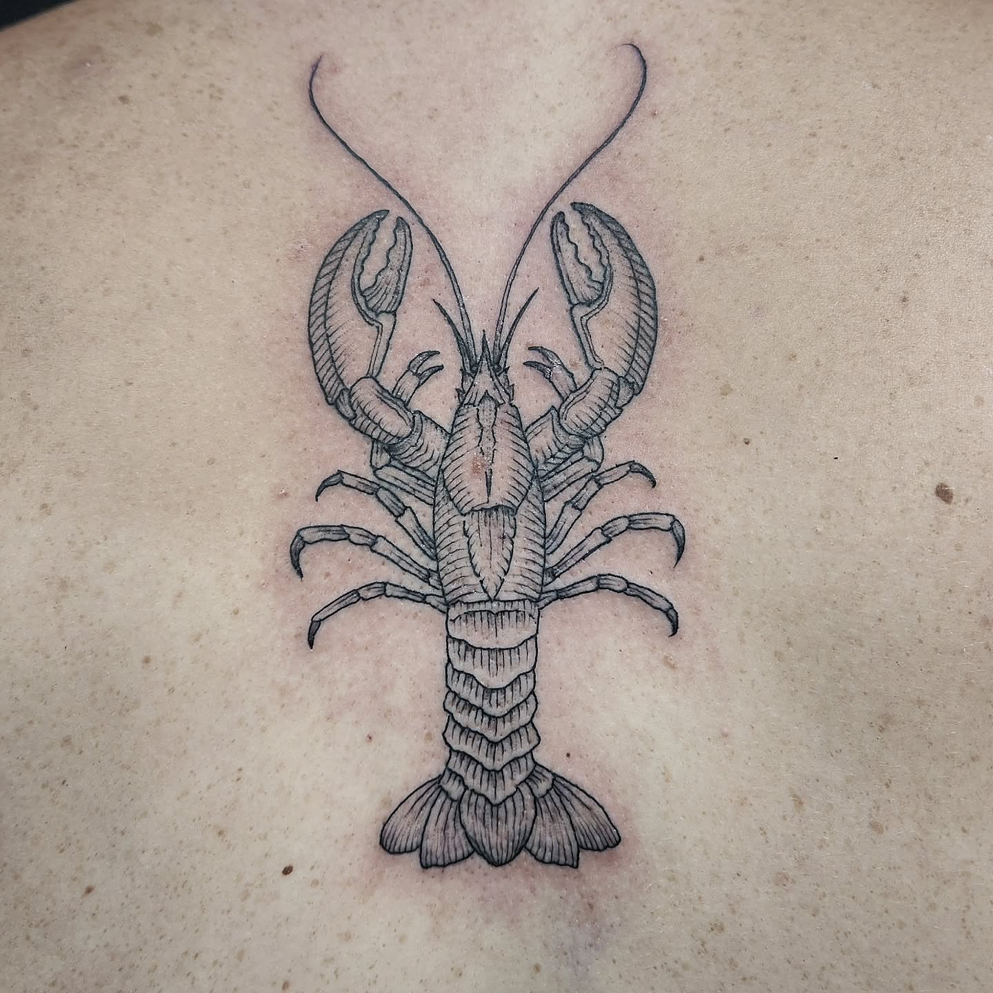 Tattoo by @thelinedefined — black_and_grey