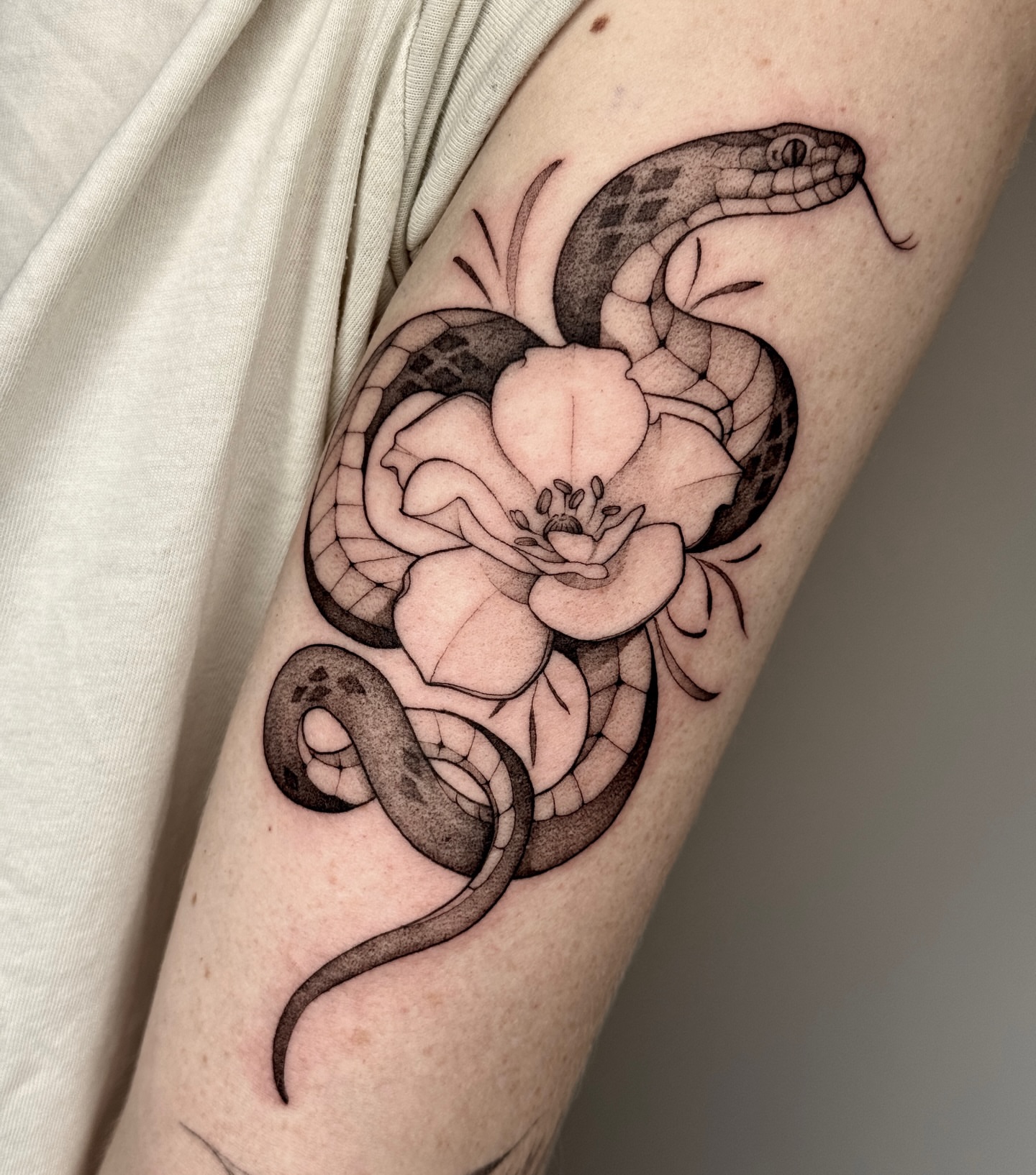 Snake and flower realism tattoo on the forearm by Molly Murray