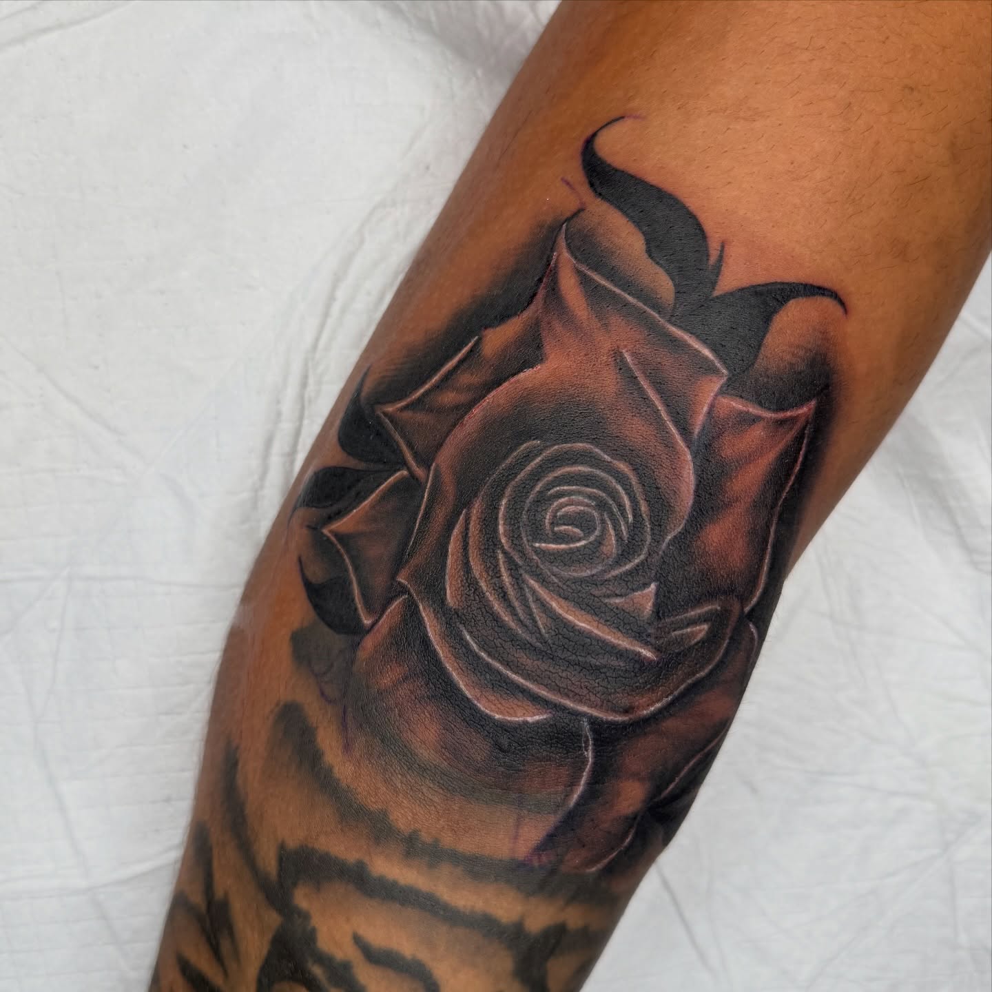 Rose realism tattoo on the forearm by Elijah East