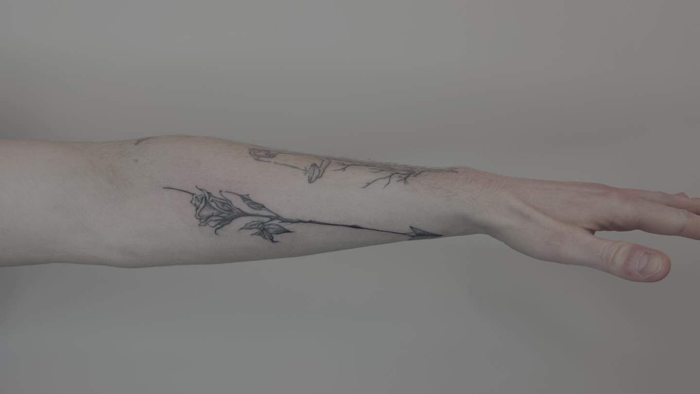 Branch with leaves black and grey tattoo on the forearm by Van Cleave Aesthetics, Franklin, Tennessee