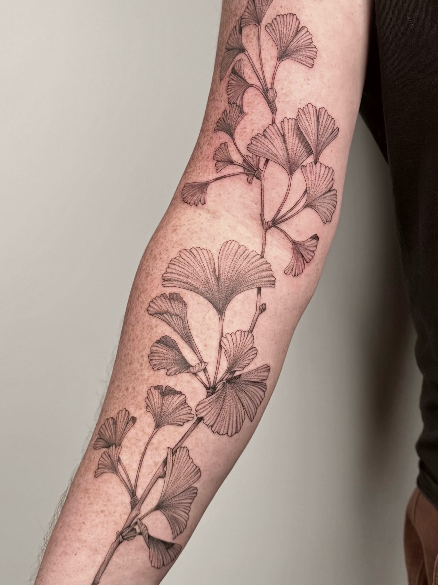 Gingko leaves black and grey tattoo on the forearm by MillaKas ° Tattoos