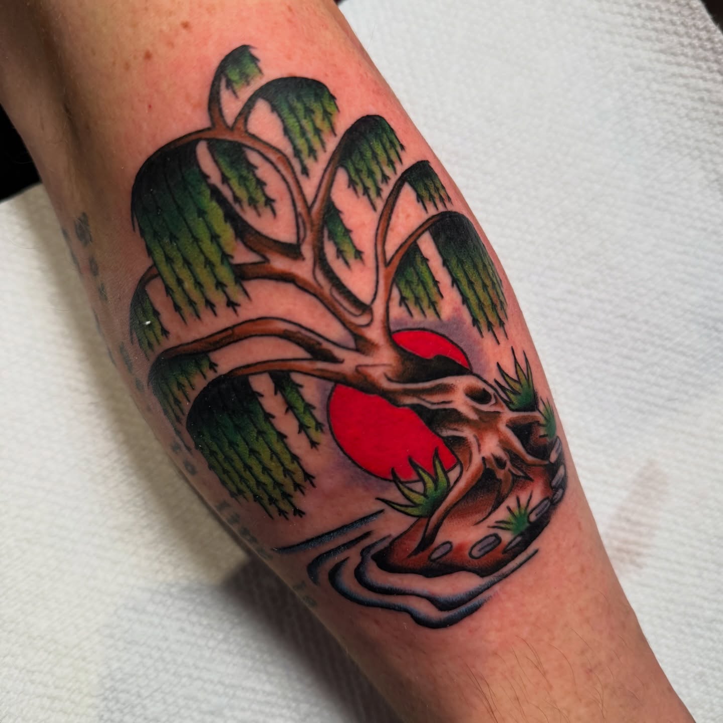Tree with sun American traditional tattoo on the forearm by πππ’π―π’π¨ πππΆπ©π¬π―π, Manchester, New Hampshire