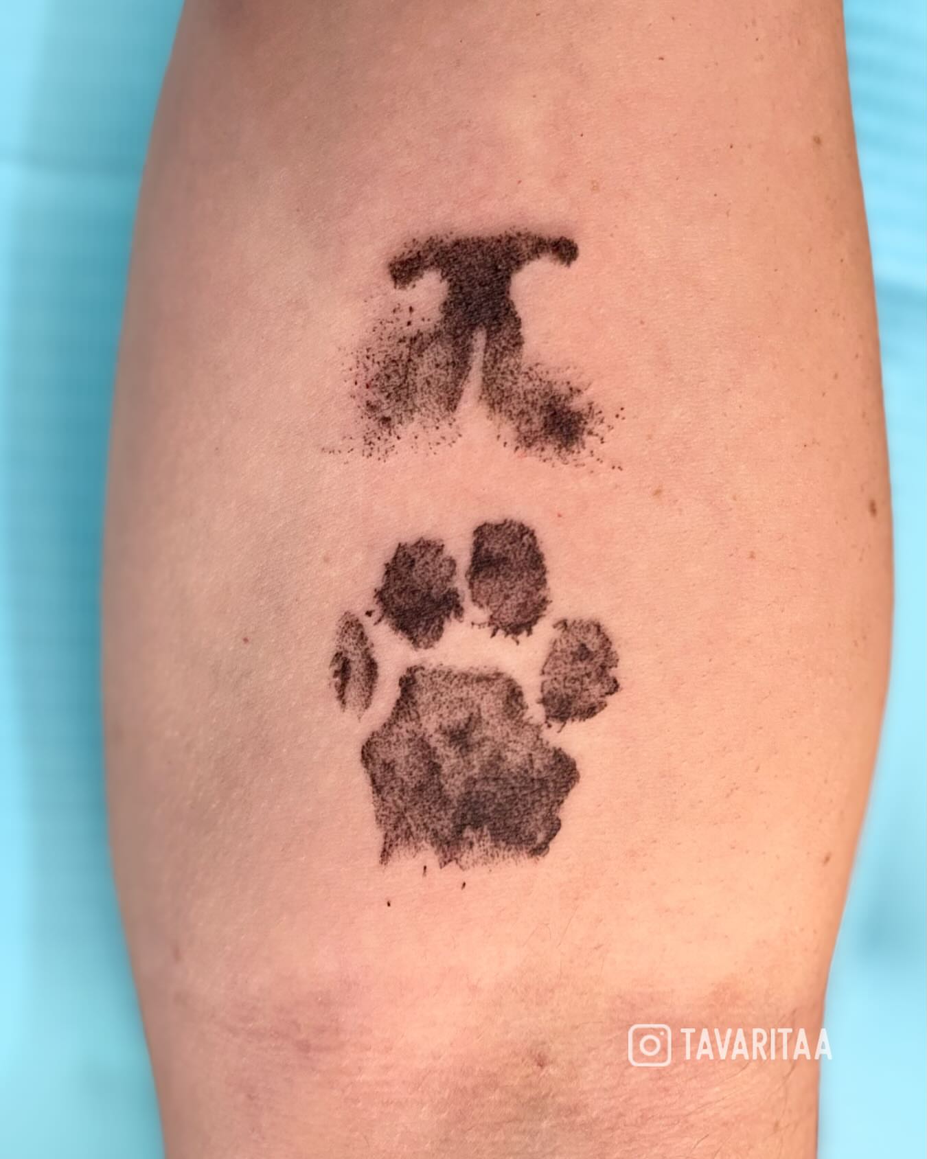 Paw print dotwork tattoo on the forearm by Tavarita