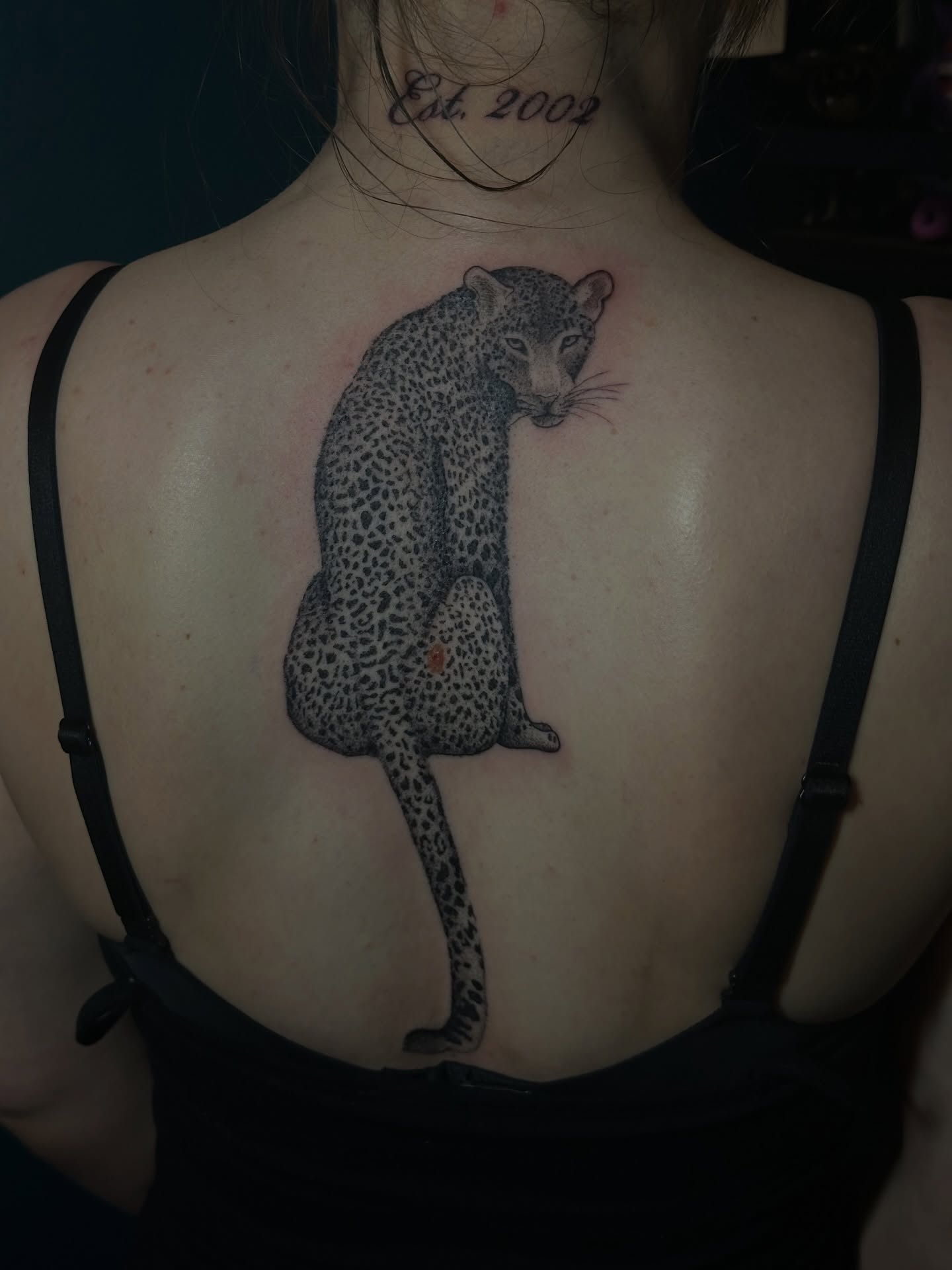 Leopard realism tattoo on the back by kennedy :) π±πΏ
