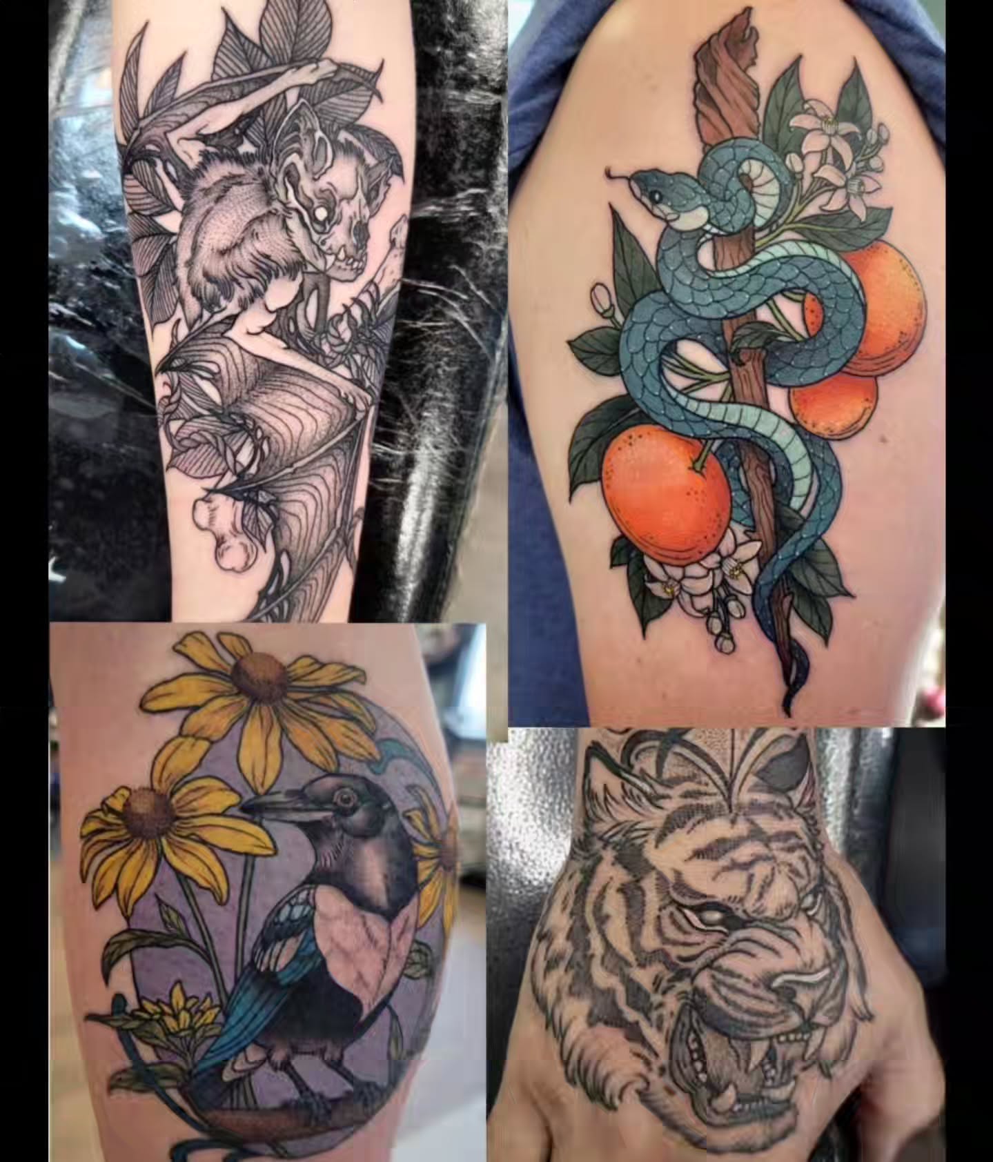 Wolf and bird American traditional tattoo on the forearm by Chantel Chan, Portland, Oregon