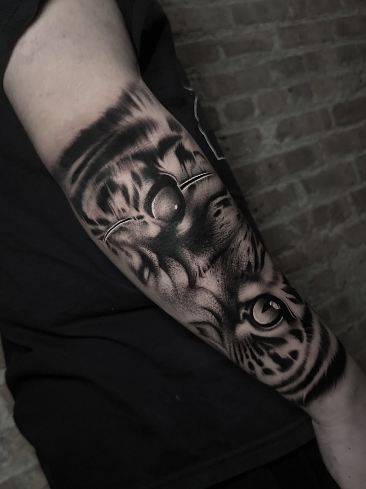 Tiger realism tattoo on the forearm by Miguel Saucedo