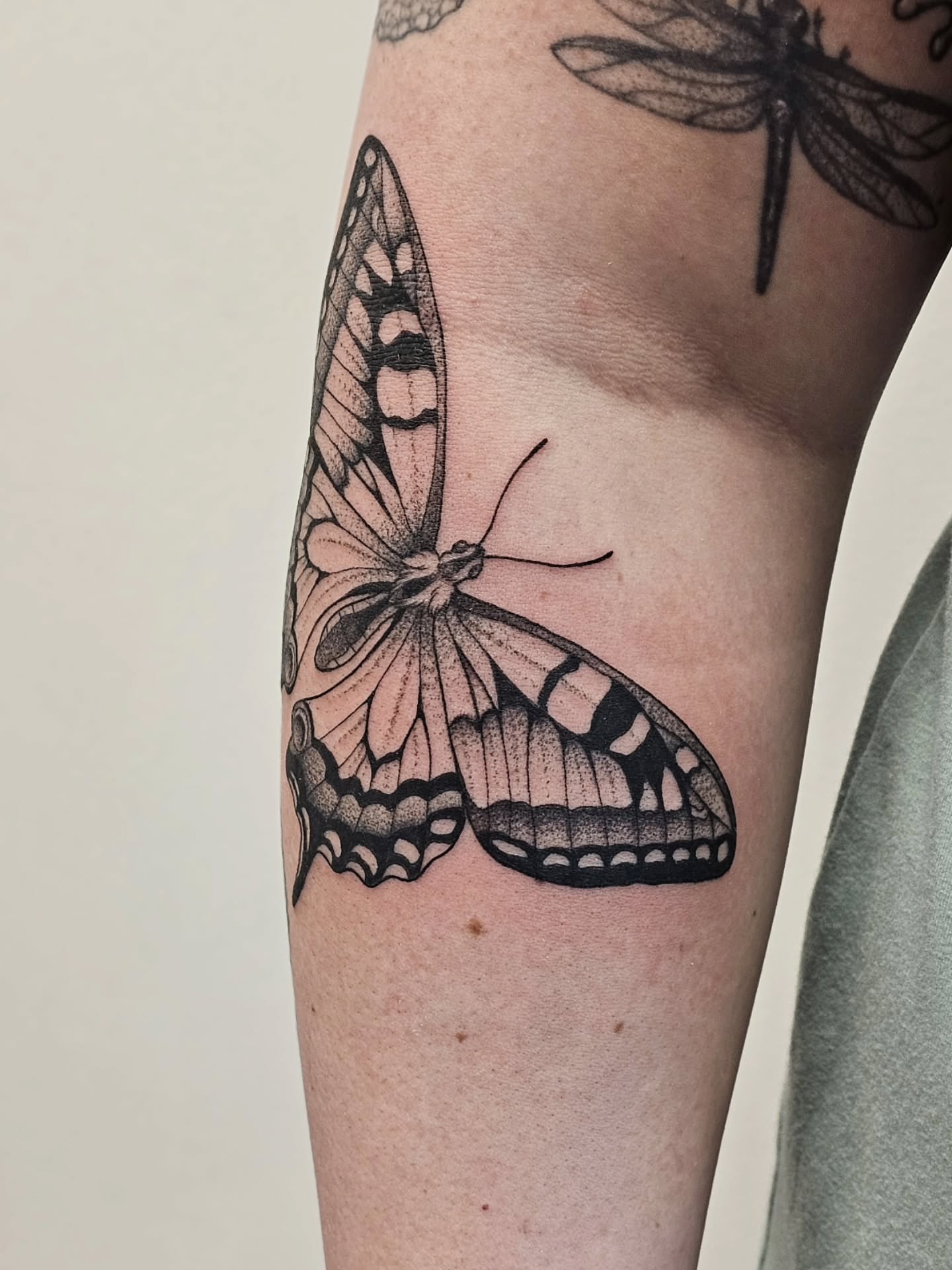 Butterfly black and grey tattoo on the forearm by Kylie Lund