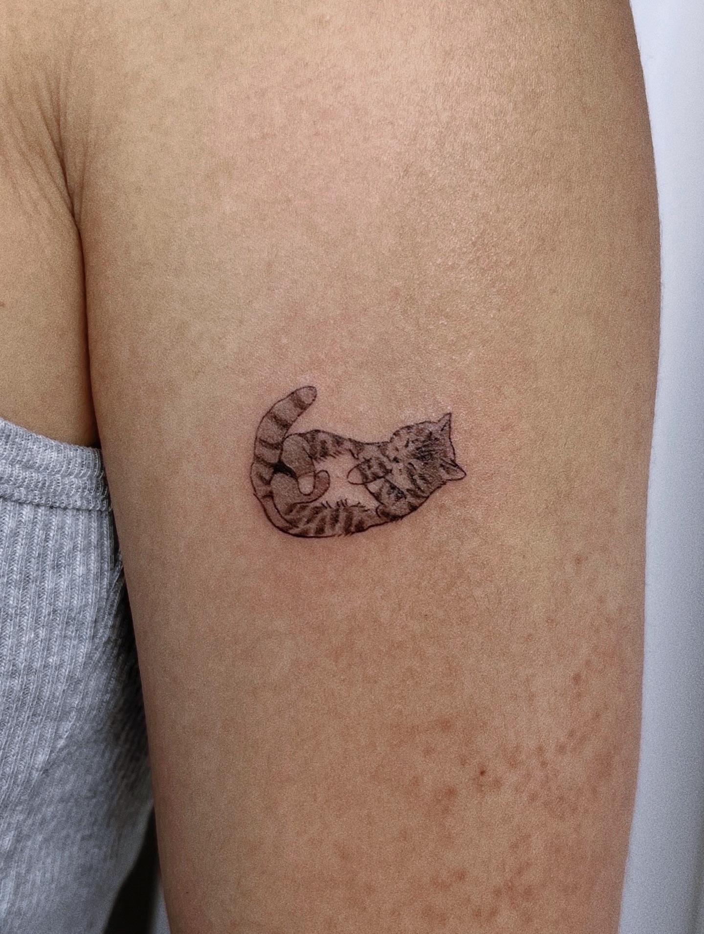 Cat black and grey tattoo on the forearm by Soy 🫛
