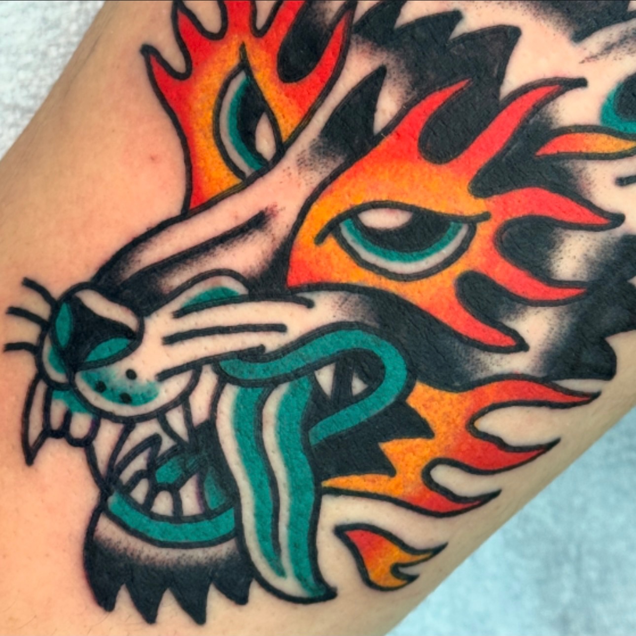 Flaming tiger American traditional tattoo on the forearm by Rafael Torres, San Francisco, California