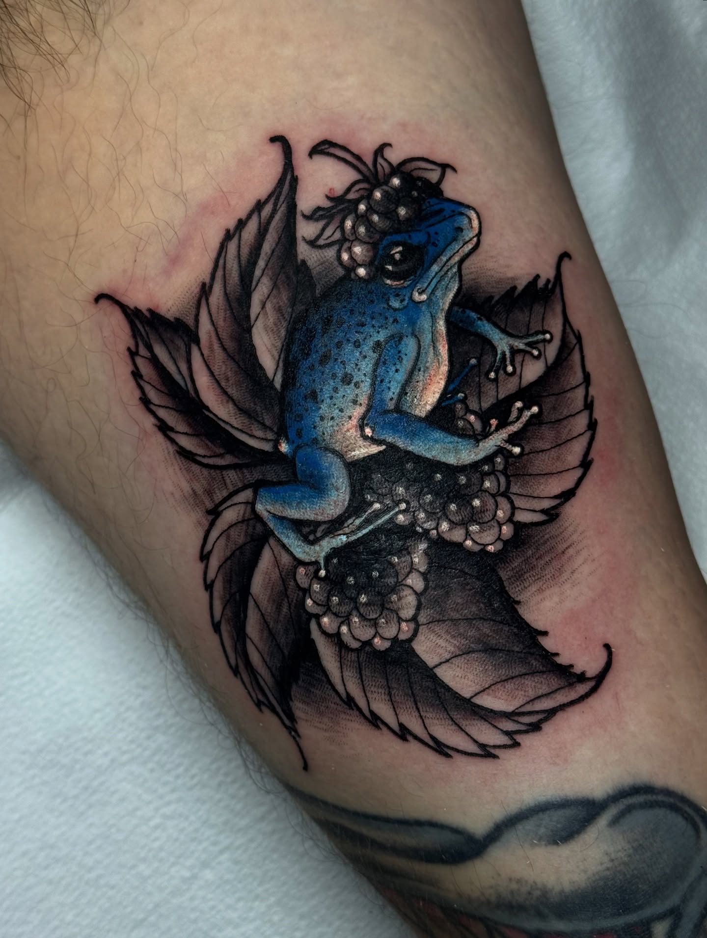 Blue poison dart frog dotwork tattoo on the forearm by Mitch McGarry