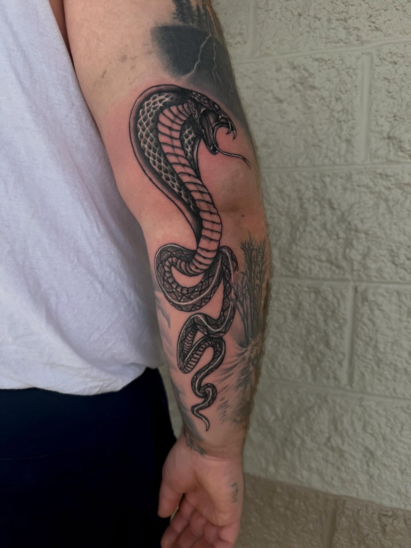 Snake black and grey tattoo on the forearm by Kylee langford 🧿
