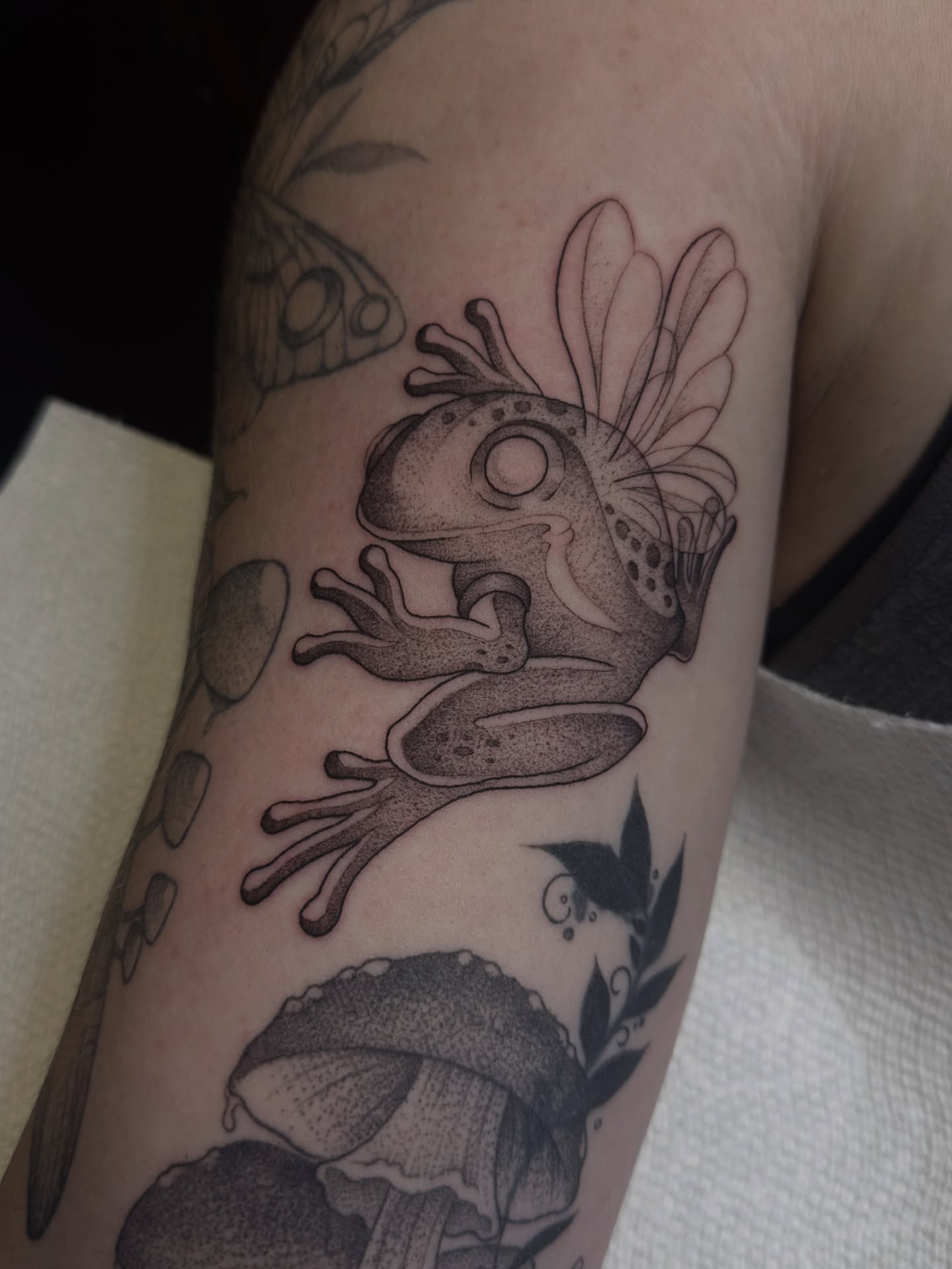 Frog with wings dotwork tattoo on the forearm by Tiffany ✿ Tattoo Artist
