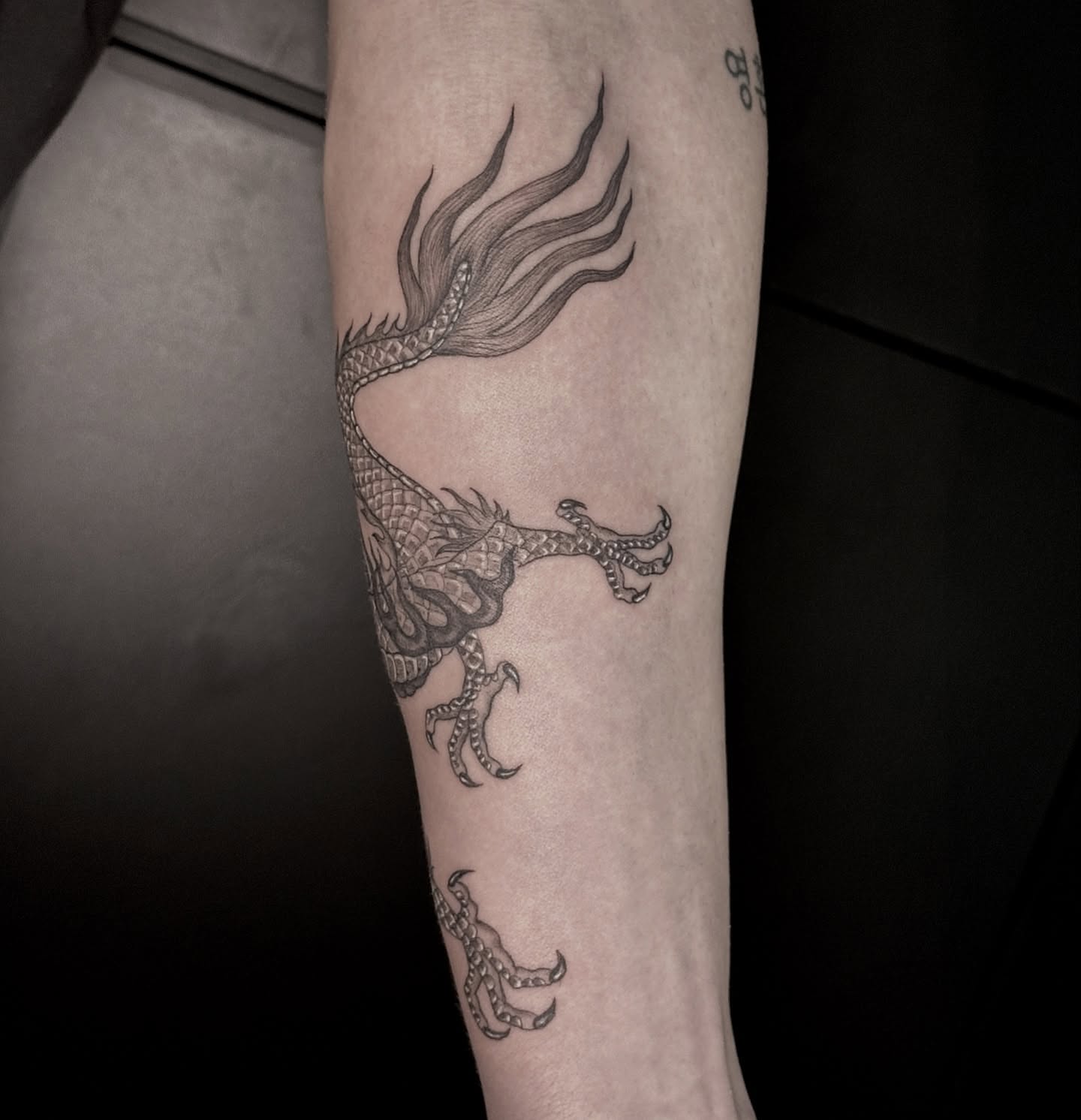 Dragon black and grey tattoo on the forearm by Carmen Figueroa, New York, New York