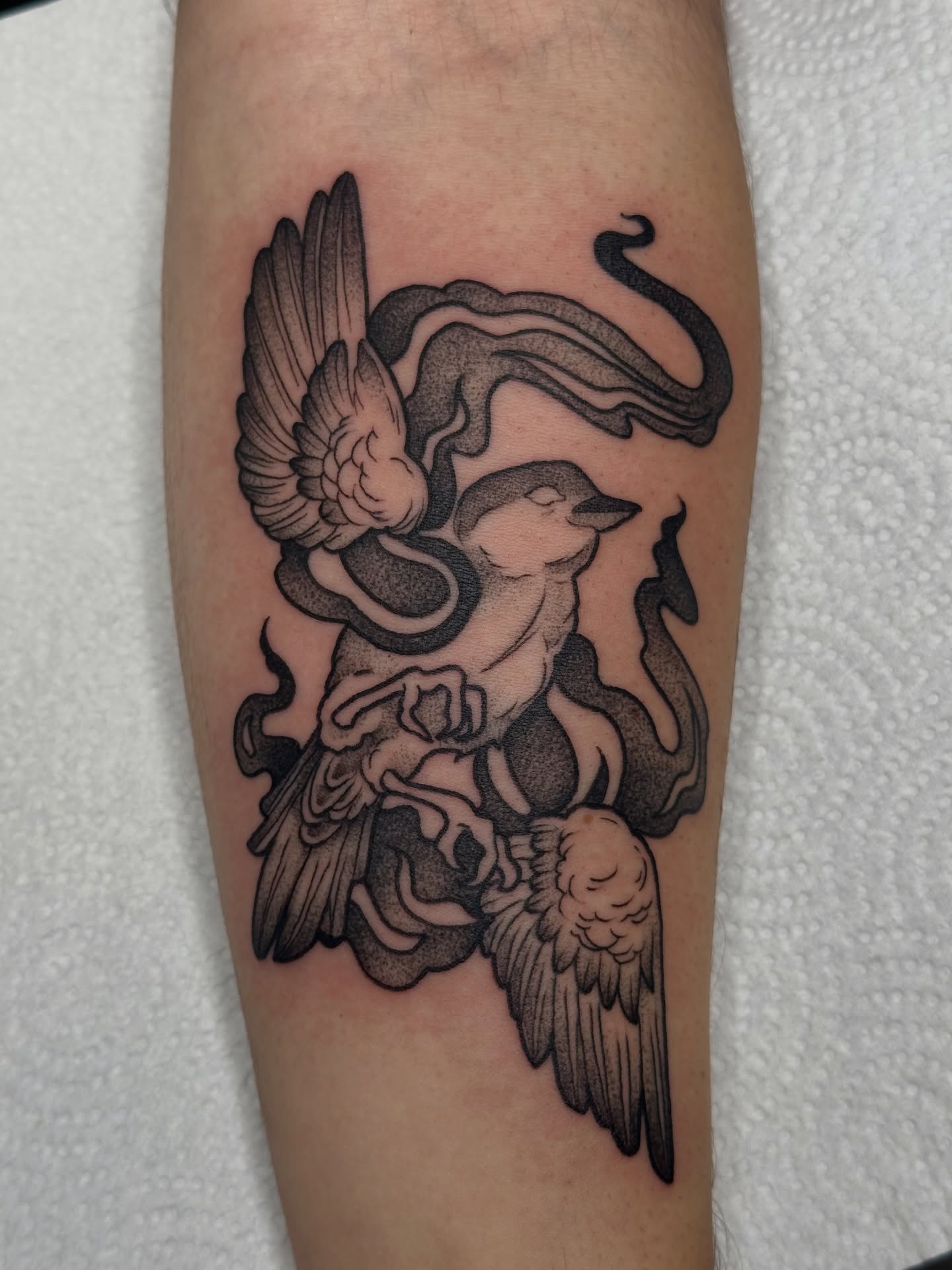 Bird and snake dotwork tattoo on the forearm by Summer Shield