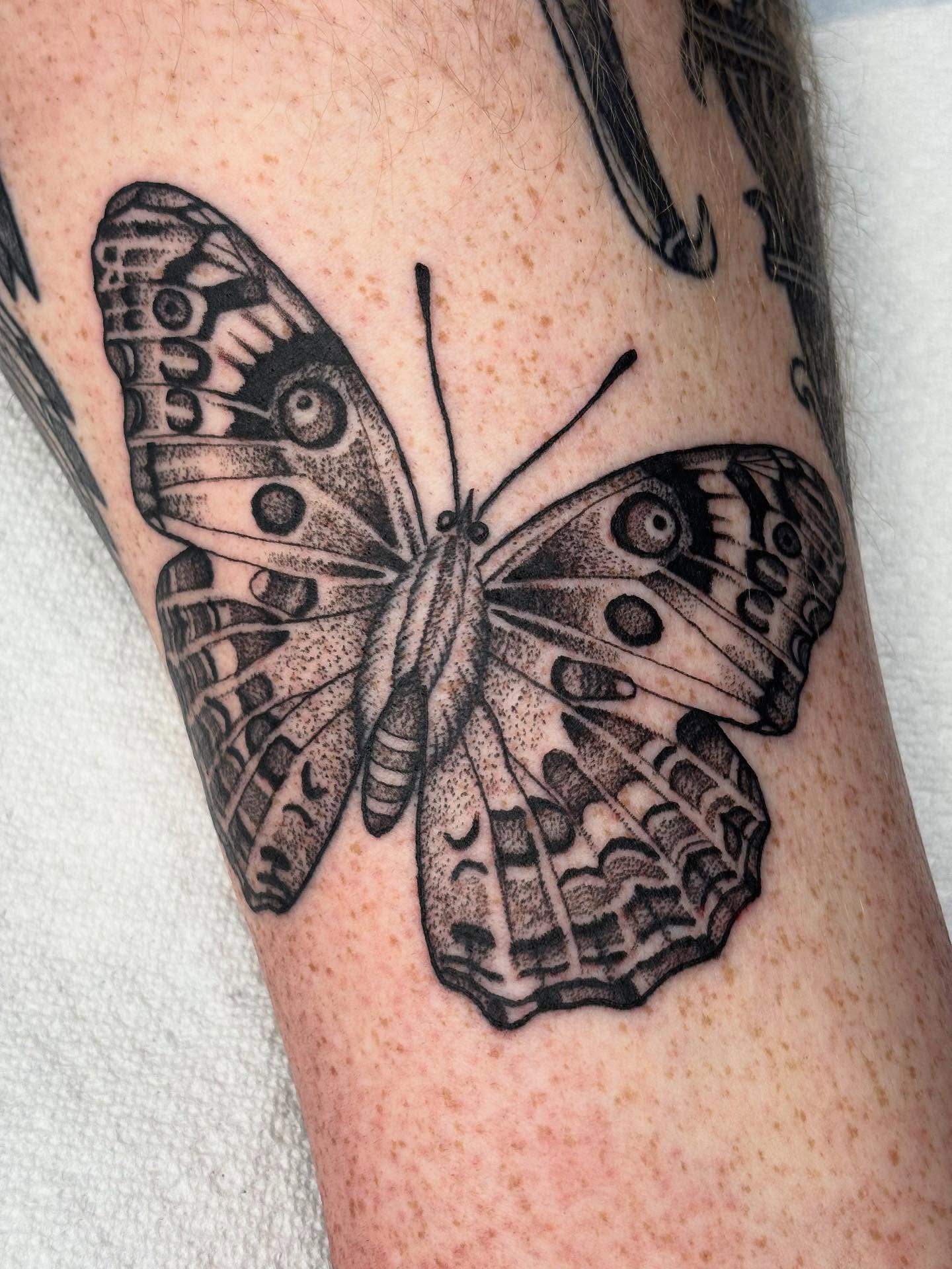 Butterfly dotwork tattoo on the forearm by Sydney Pflaumer