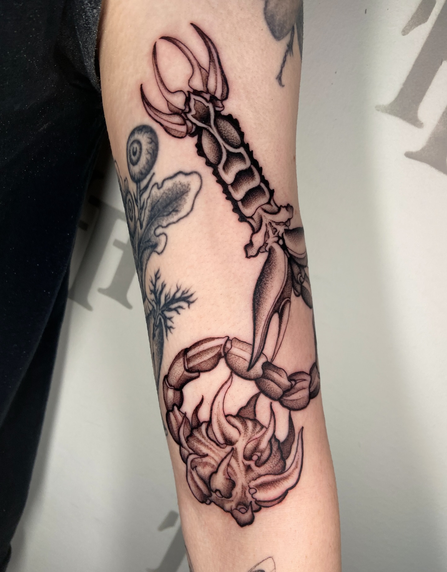 Spine and seashells black and grey tattoo on the forearm by Quinn