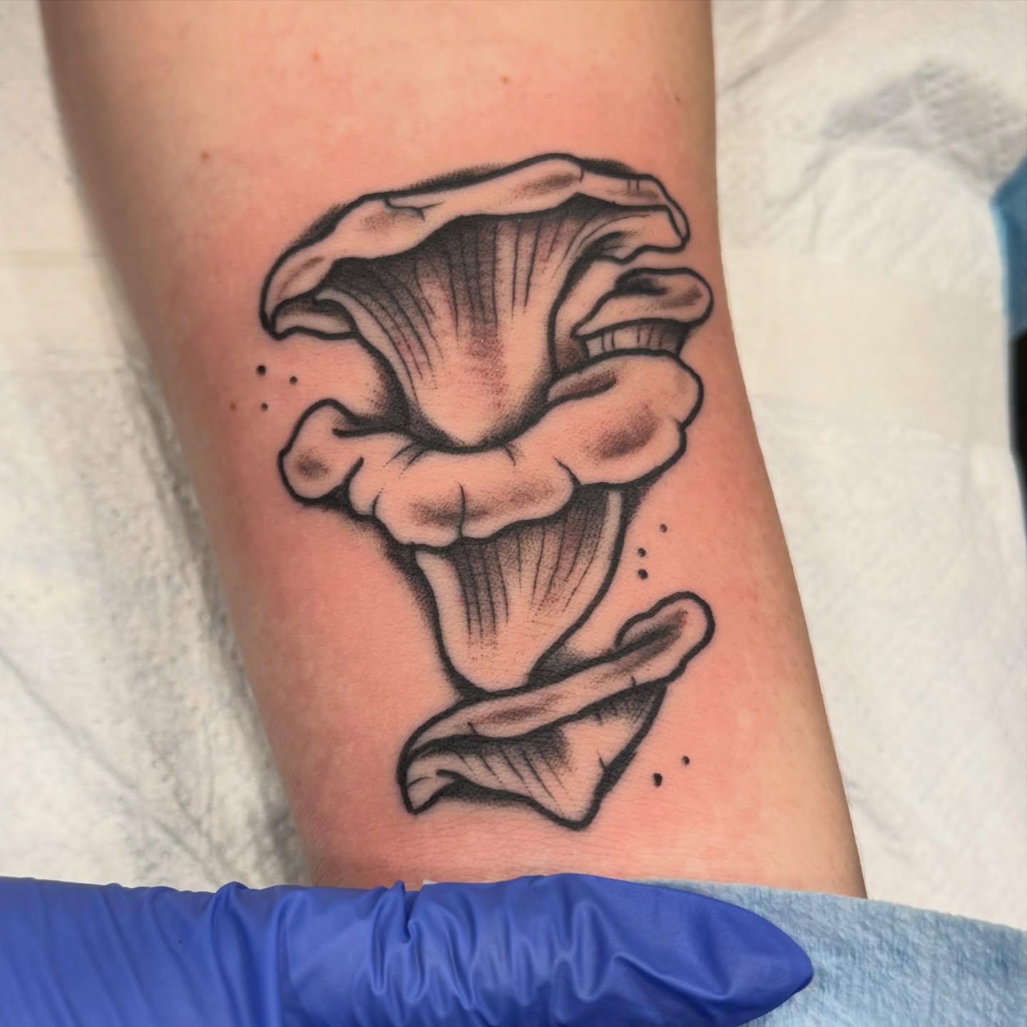 Fungus black and grey tattoo on the forearm by Chelsea Graham, Seattle, Washington