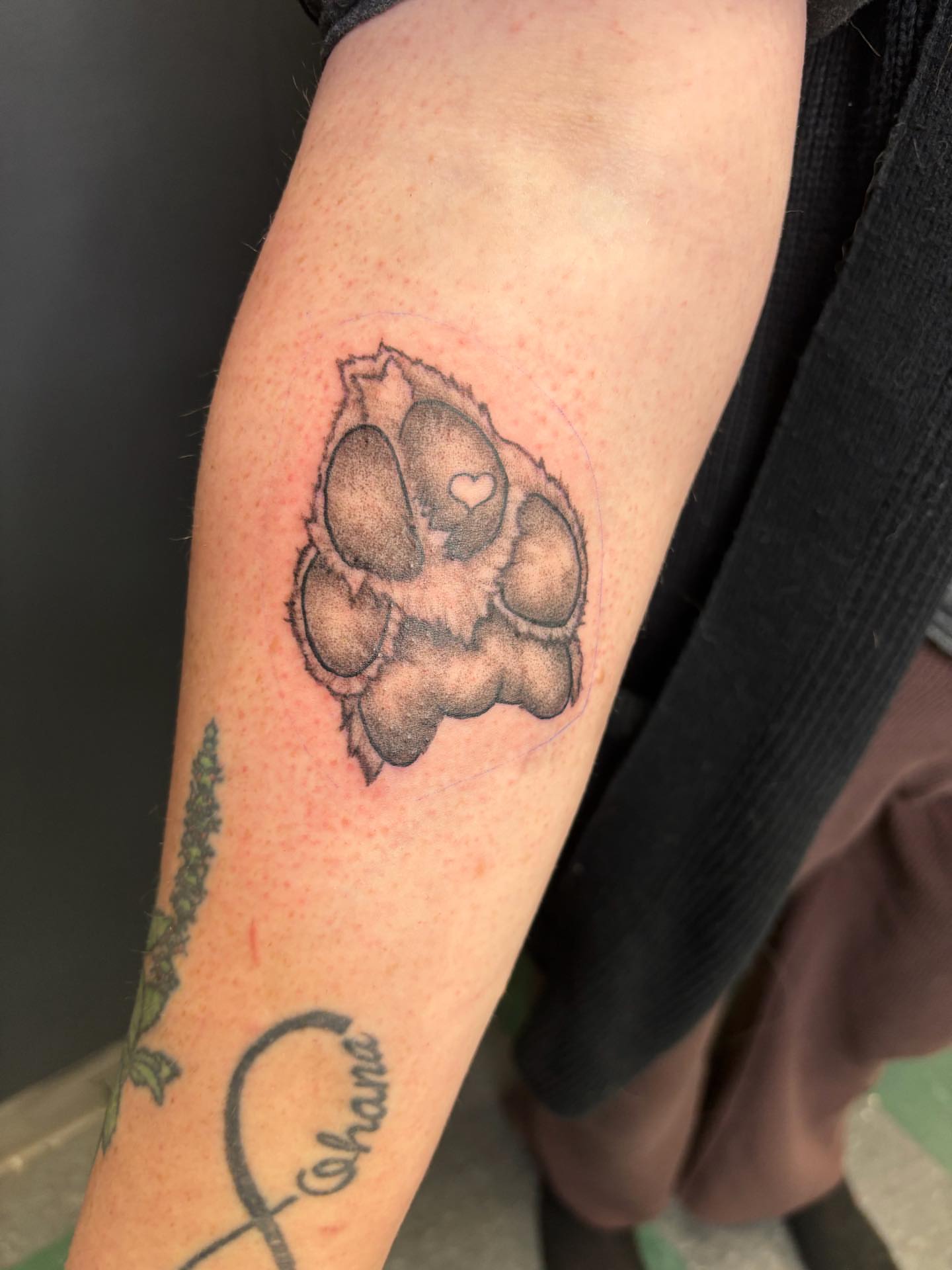 Paw print realism tattoo on the forearm by Noah Blum