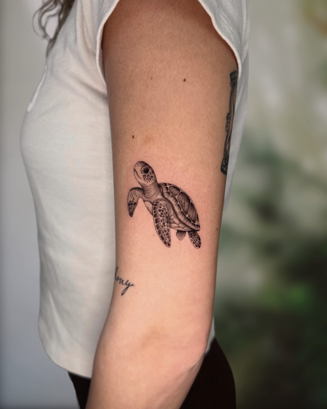 Turtle realism tattoo on the forearm by Ingrid Rojas