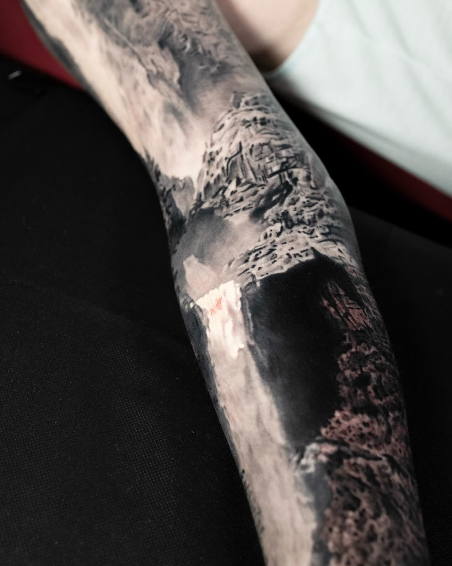 Landscape realism tattoo on the forearm by Realistic tattoos in Minneapolis, MN, Minneapolis, Minnesota