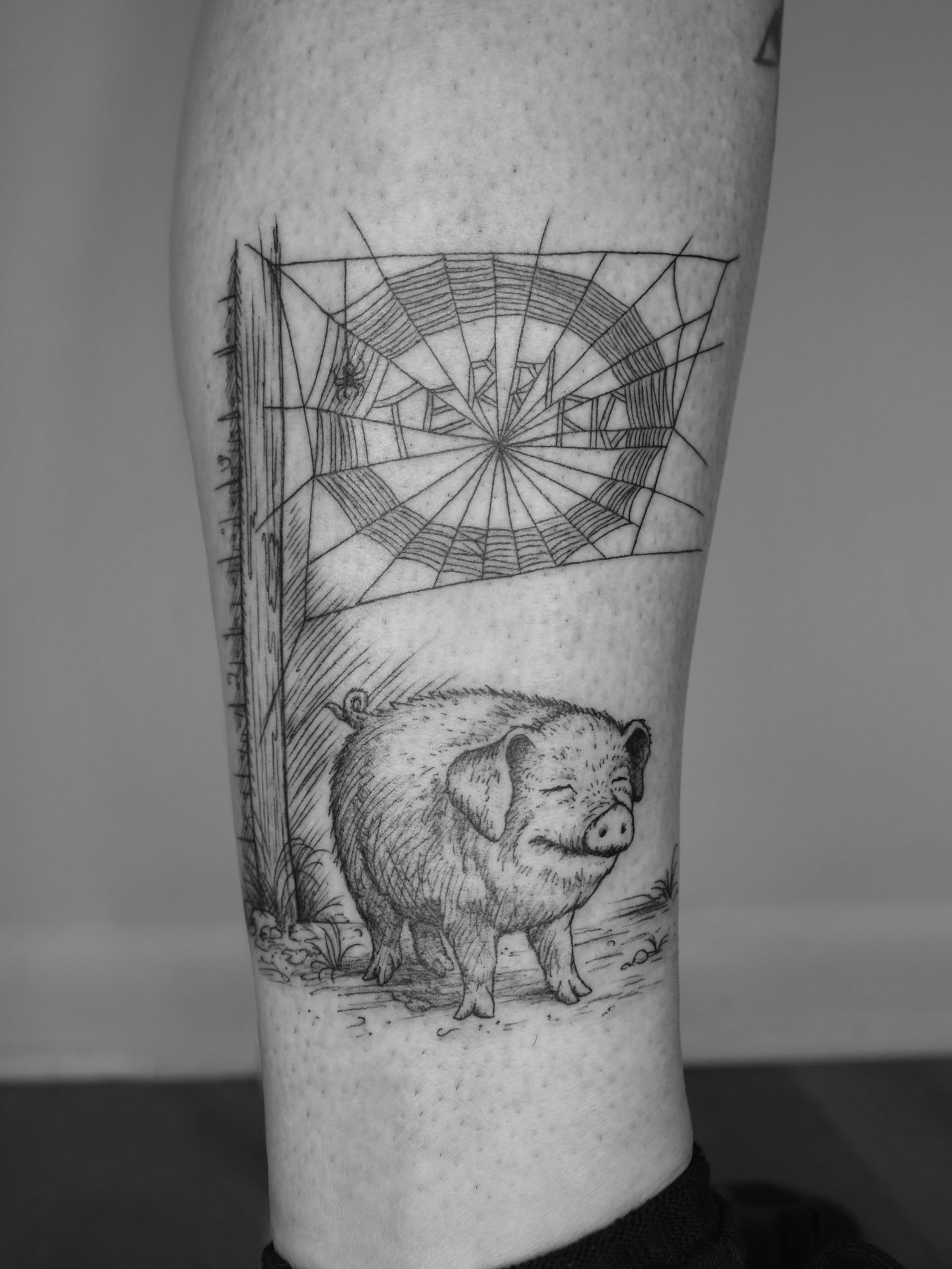 Pig and spider web realism tattoo on the forearm by ☆ Nashville Fine Line Tattoo Artist ☆