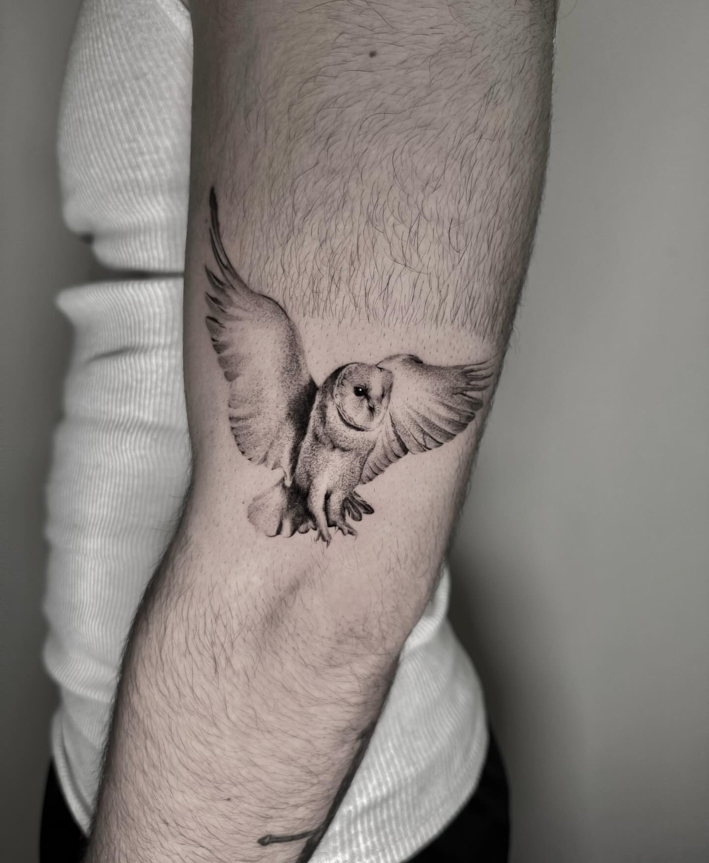 Owl dotwork tattoo on the forearm by ππππππ