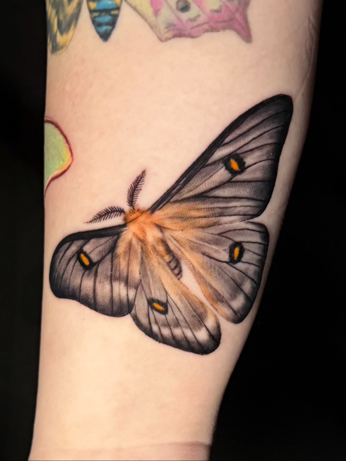 Butterfly realism tattoo on the forearm by Christel Perkins