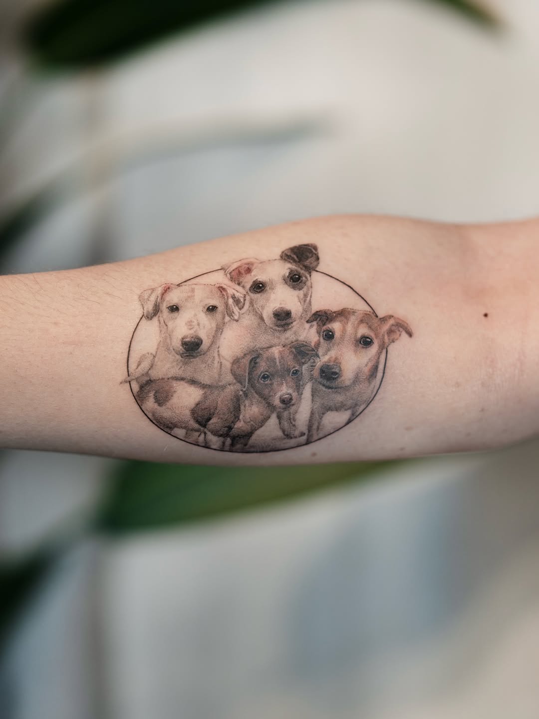 Tattoo by @zeeyo_tattoo — realism, black_and_grey