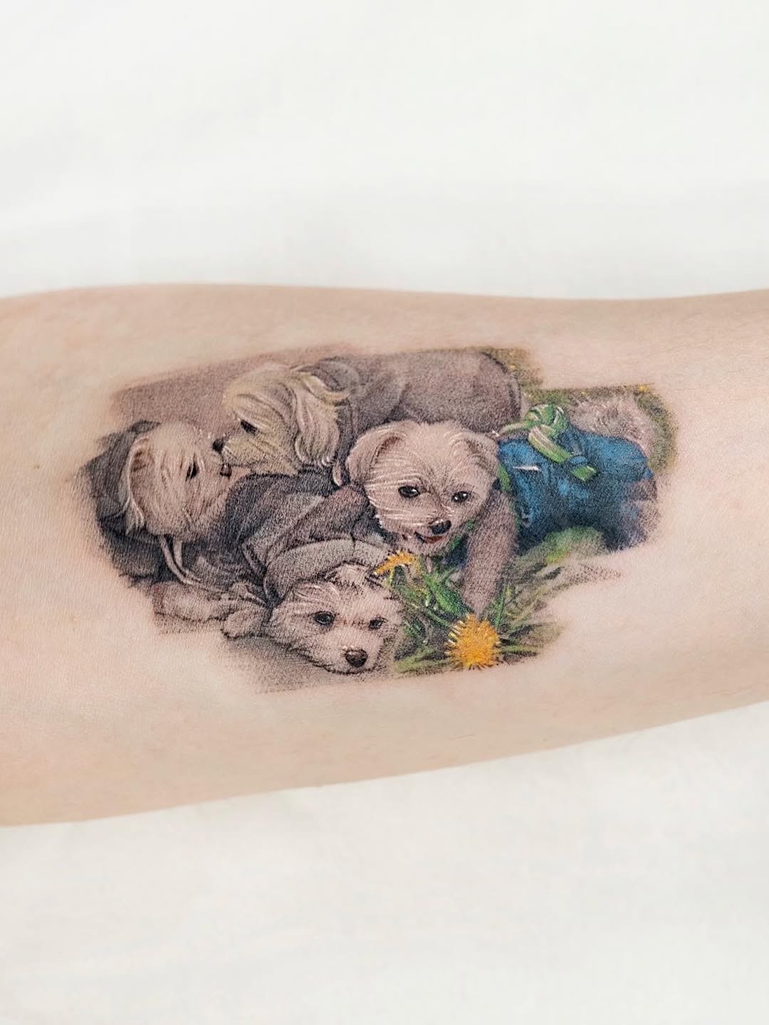 Tattoo by @zeeyo_tattoo — realism, black_and_grey