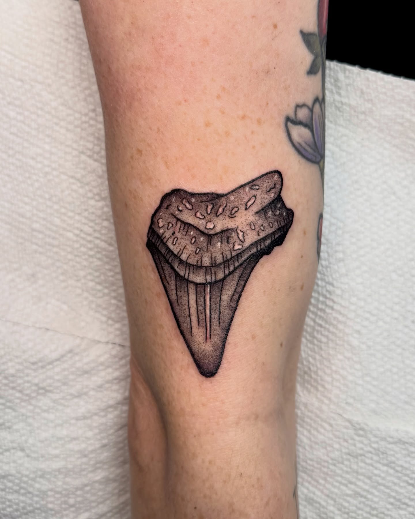 Dinosaur tooth black and grey tattoo on the forearm by Eden Allen