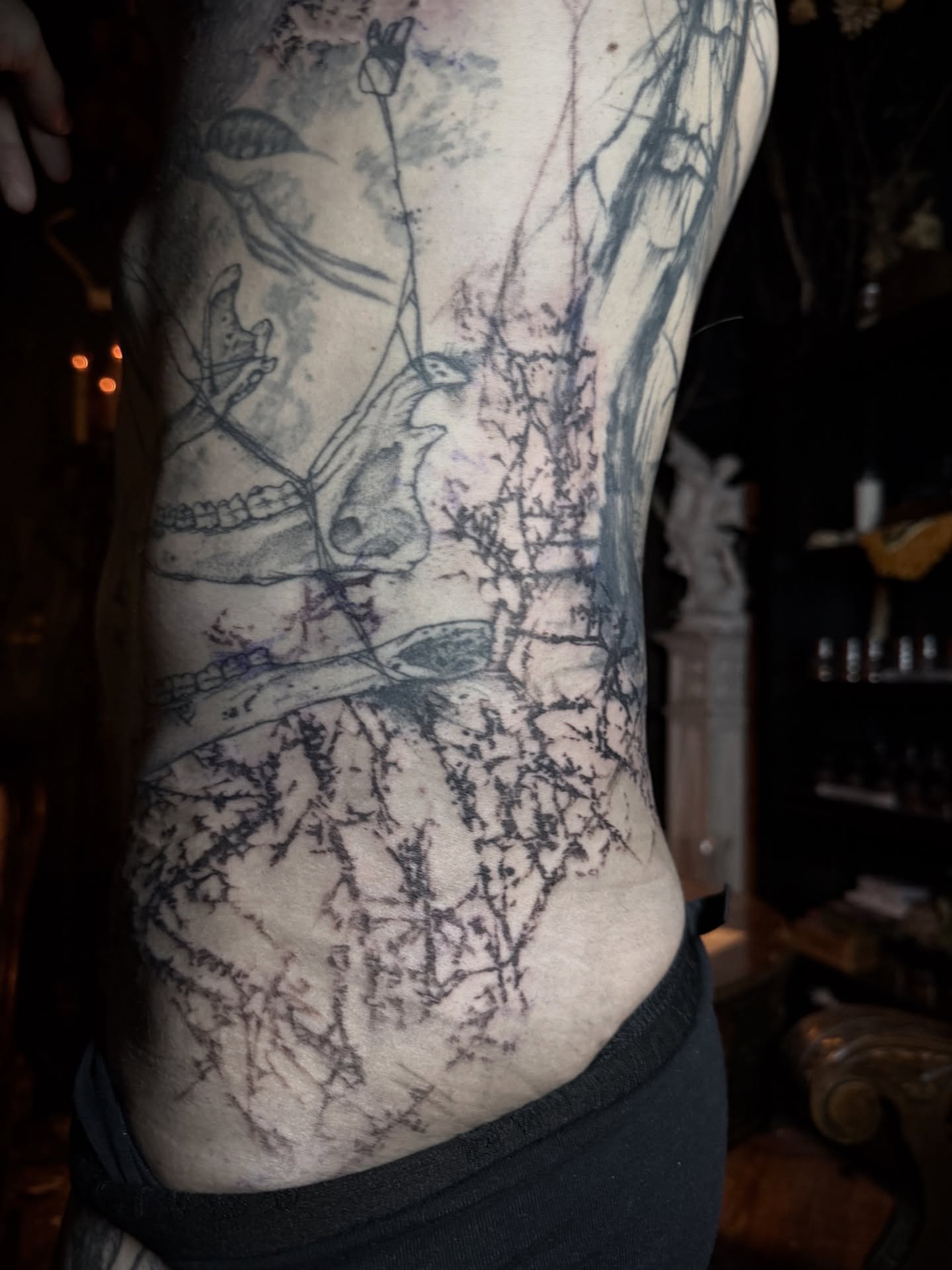 Bird and branches black and grey tattoo on the ribs by Jamie Draven 🐺