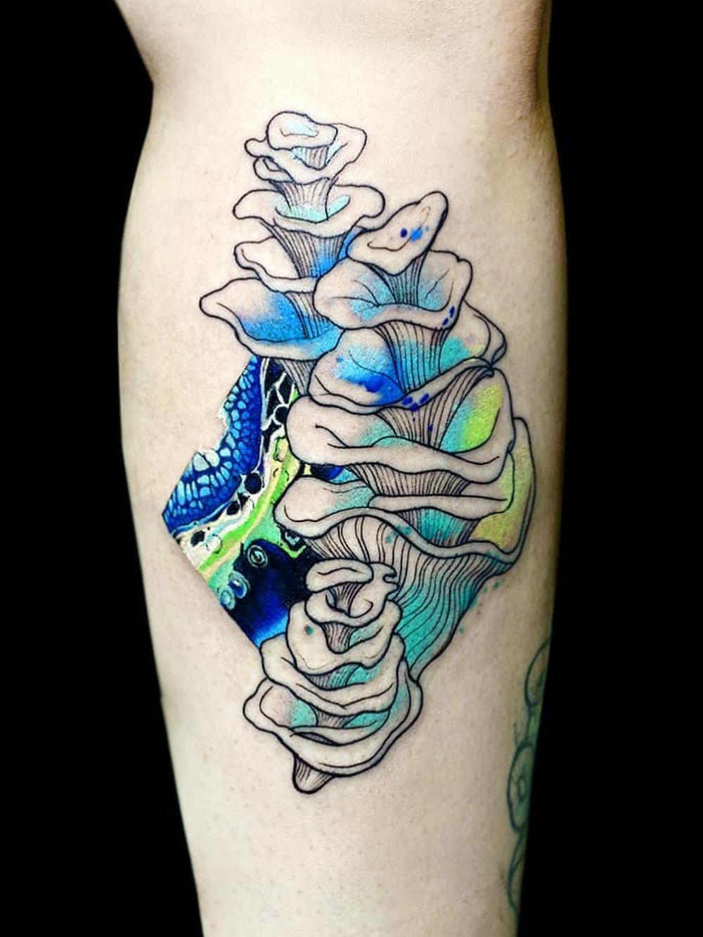 Tattoo by @mattynox — watercolor, new_school