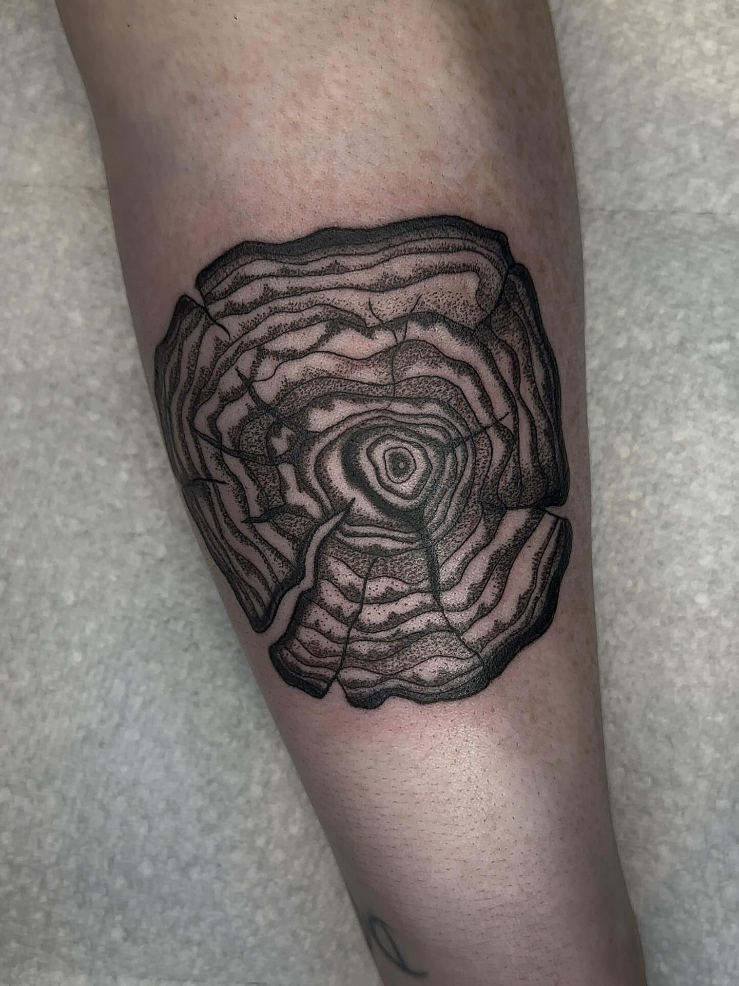 Abstract pattern dotwork tattoo on the forearm by savannah ★ ( previously feralratbabe )