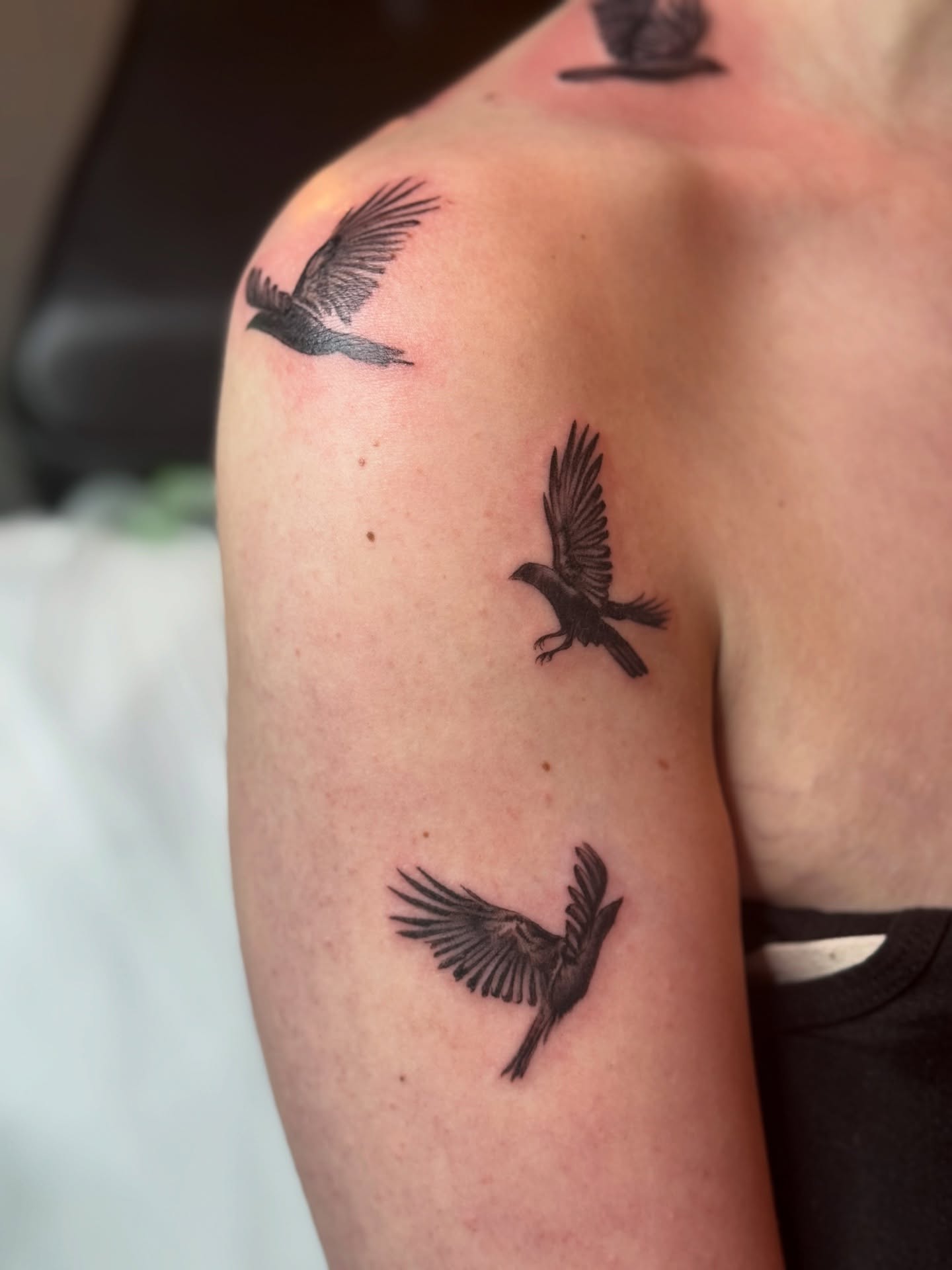 Birds black and grey tattoo on the shoulder by Lily Bejarno