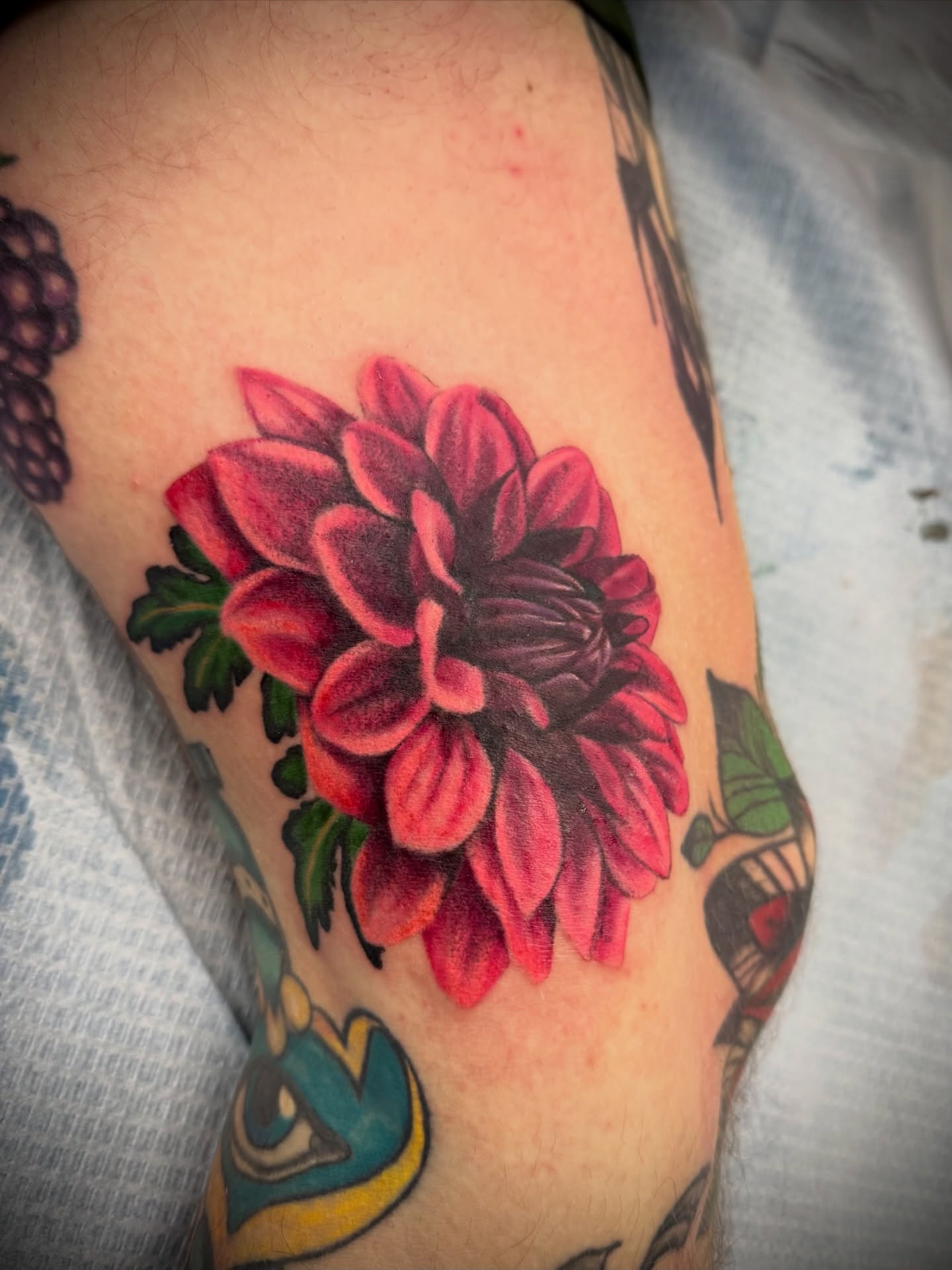 Tattoo by @rori_hughes_artistry — american_traditional