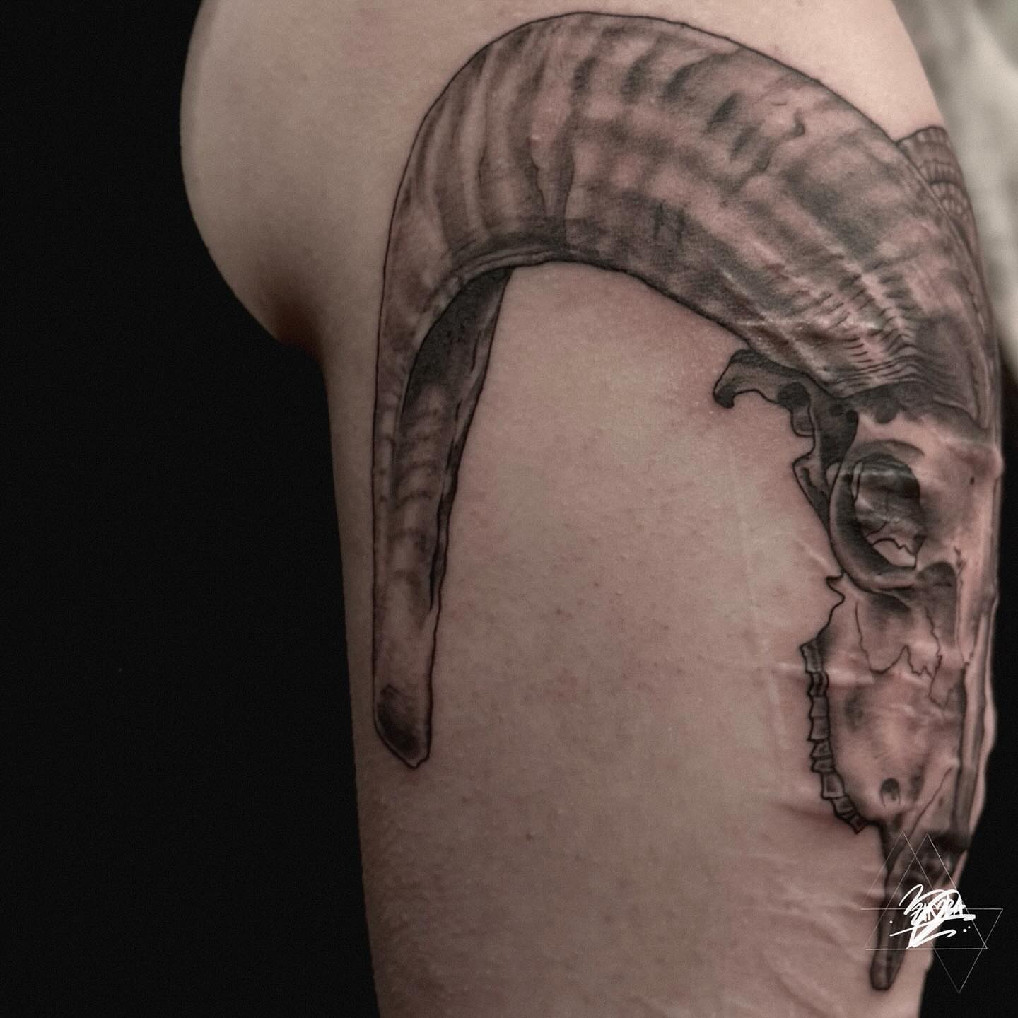 Seahorse realism tattoo on the forearm by Zhorana Devi