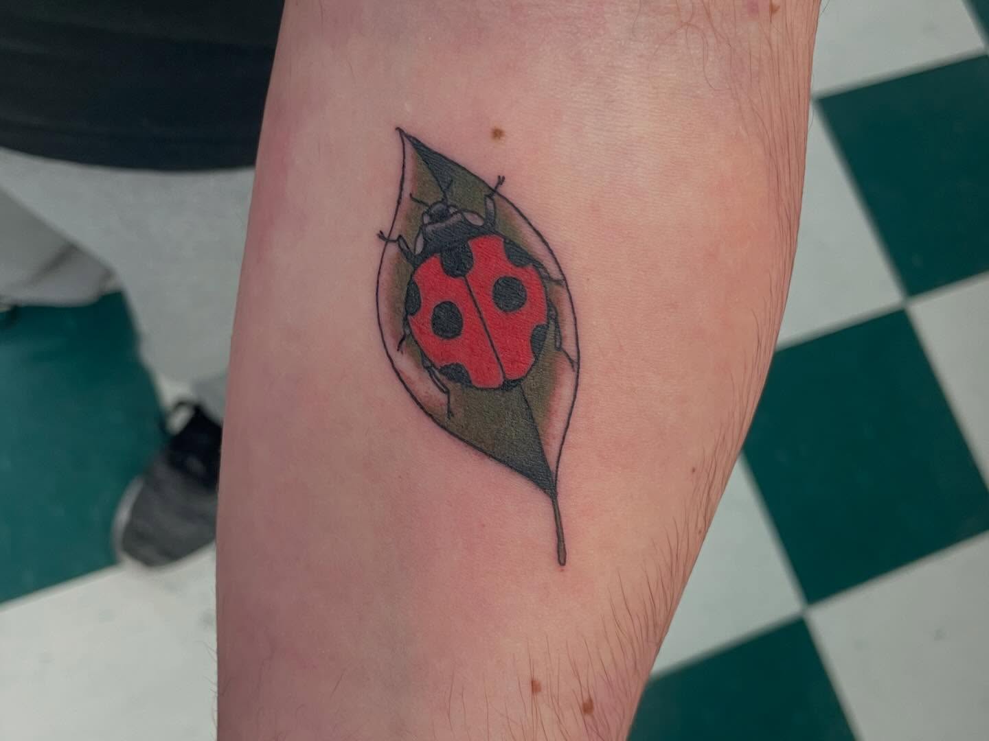 Ladybug realism tattoo on the forearm by Dayton Tattoo Artist, Miamisburg, Ohio