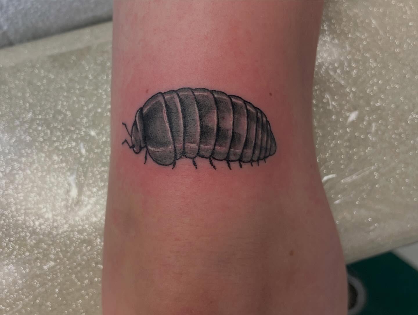 Woodlouse black and grey tattoo on the forearm by Dayton Tattoo Artist, Miamisburg, Ohio