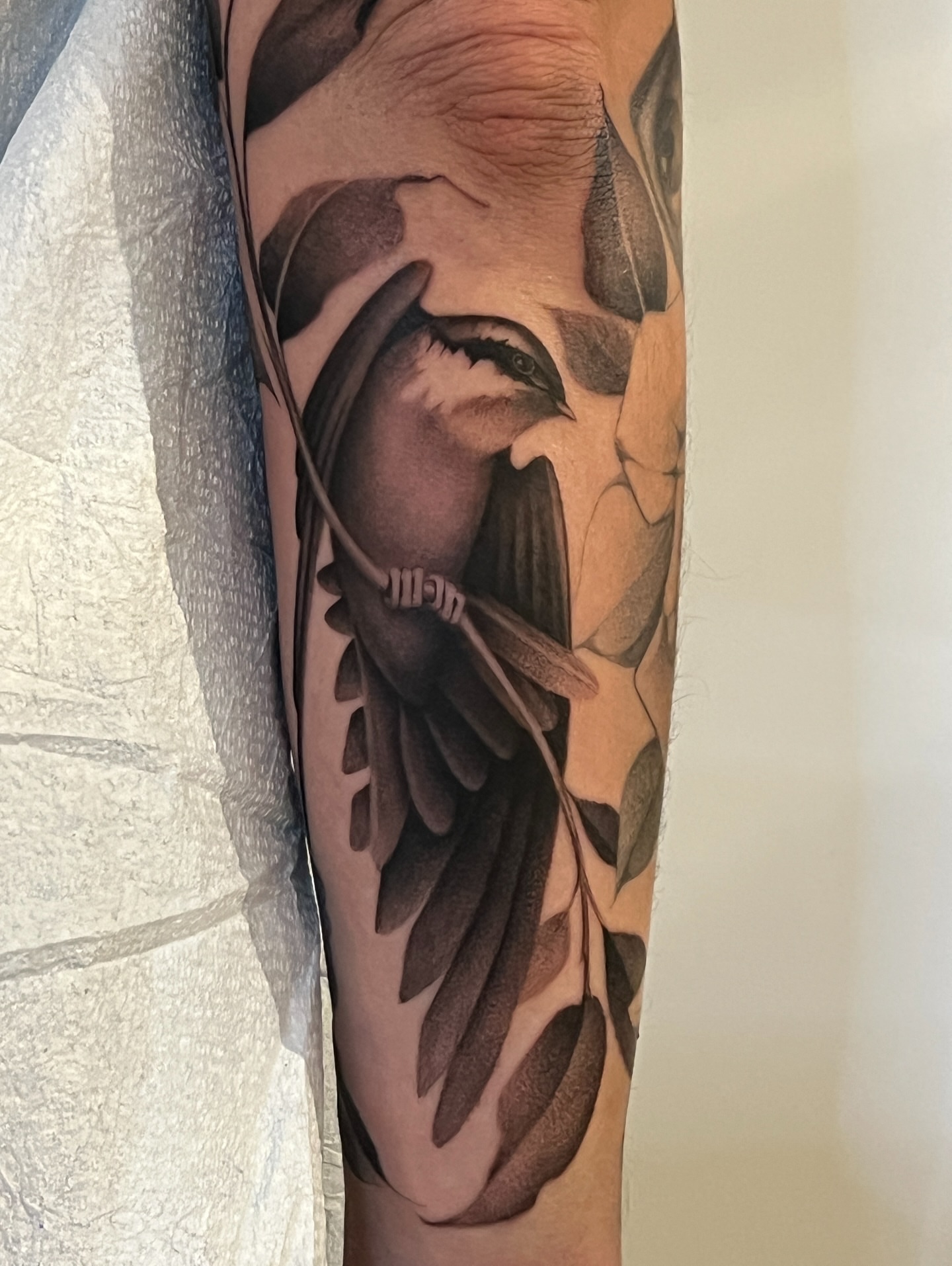 Bird realism tattoo on the forearm by 𝑱𝒖𝒍𝒊𝒂𝒏𝒏𝒂 𝑴𝒆𝒏𝒏𝒂✥𝑷𝒉𝒊𝒍𝒂𝒅𝒆𝒍𝒑𝒉𝒊𝒂✥𝑩𝒍𝒂𝒄𝒌 𝒂𝒏𝒅 𝑮𝒓𝒂𝒚