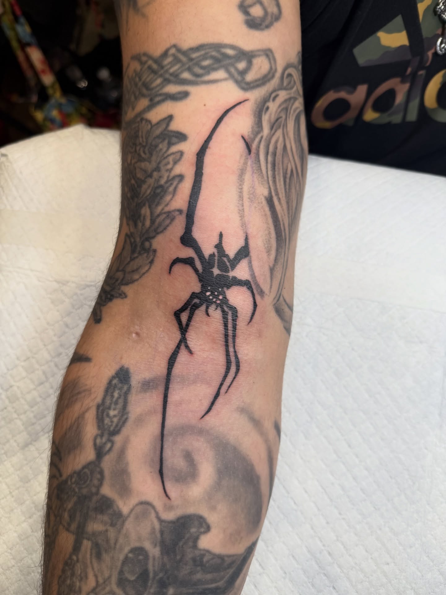 Spider black and grey tattoo on the forearm by z o y a, Seattle, Washington