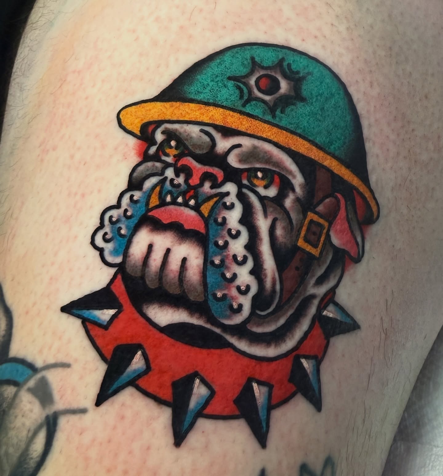 Bulldog wearing helmet American traditional tattoo on the thigh by Stevie Lowenstein, Cincinnati, Ohio