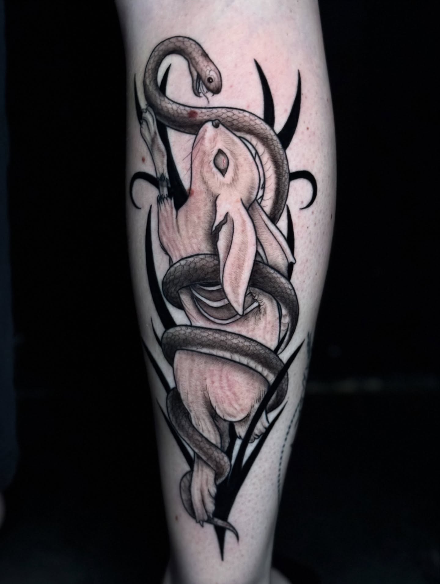 Snake and mouse realism tattoo on the forearm by Lily Bejarno