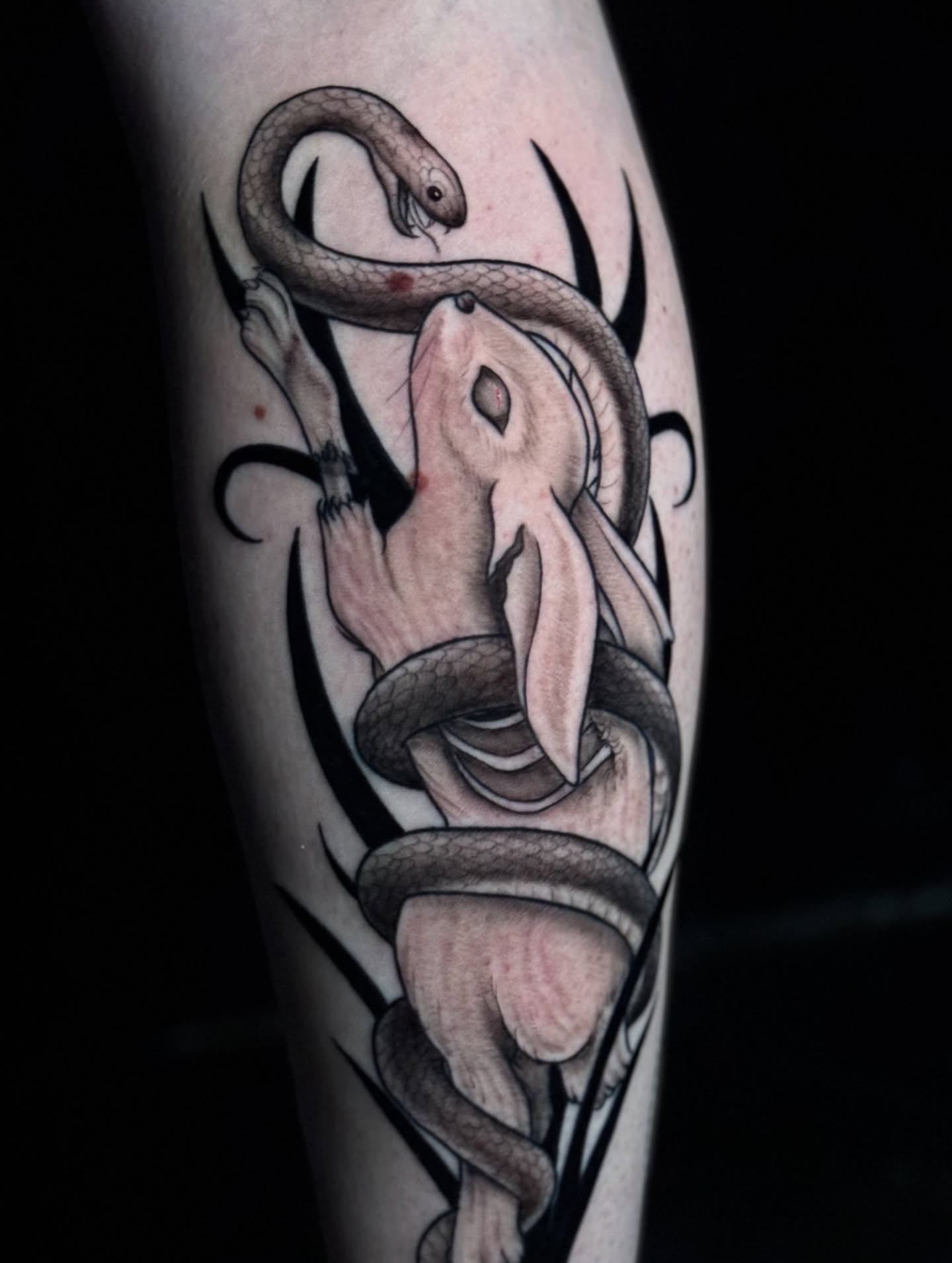 Snake and rabbit realism tattoo on the forearm by Lily Bejarno