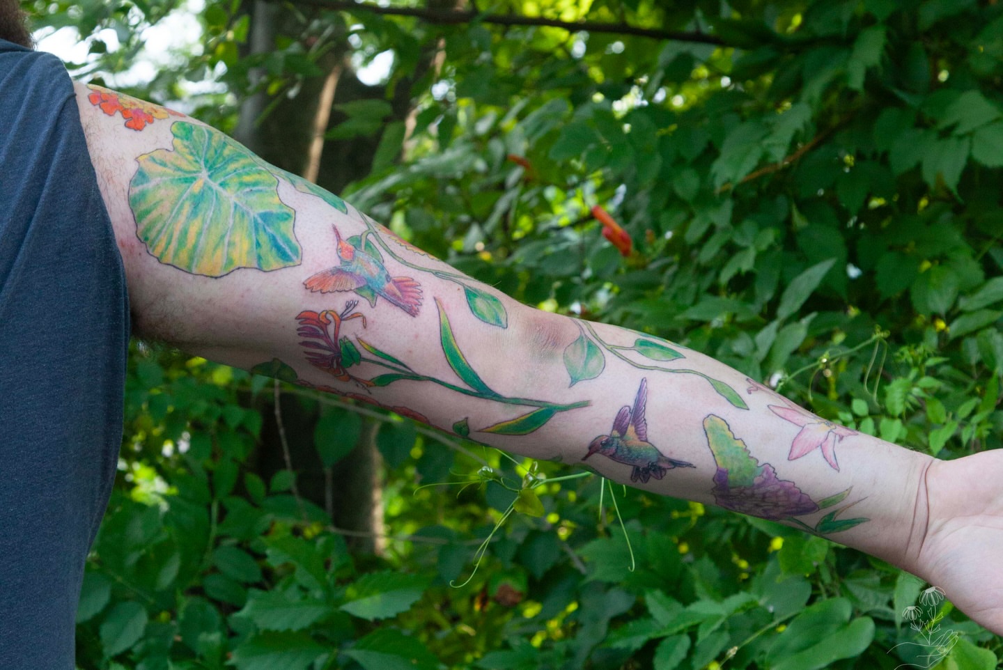 Hummingbirds and flowers new school tattoo on the forearm by Nashville Piercer & Tattoo Artist ✨ Quinne