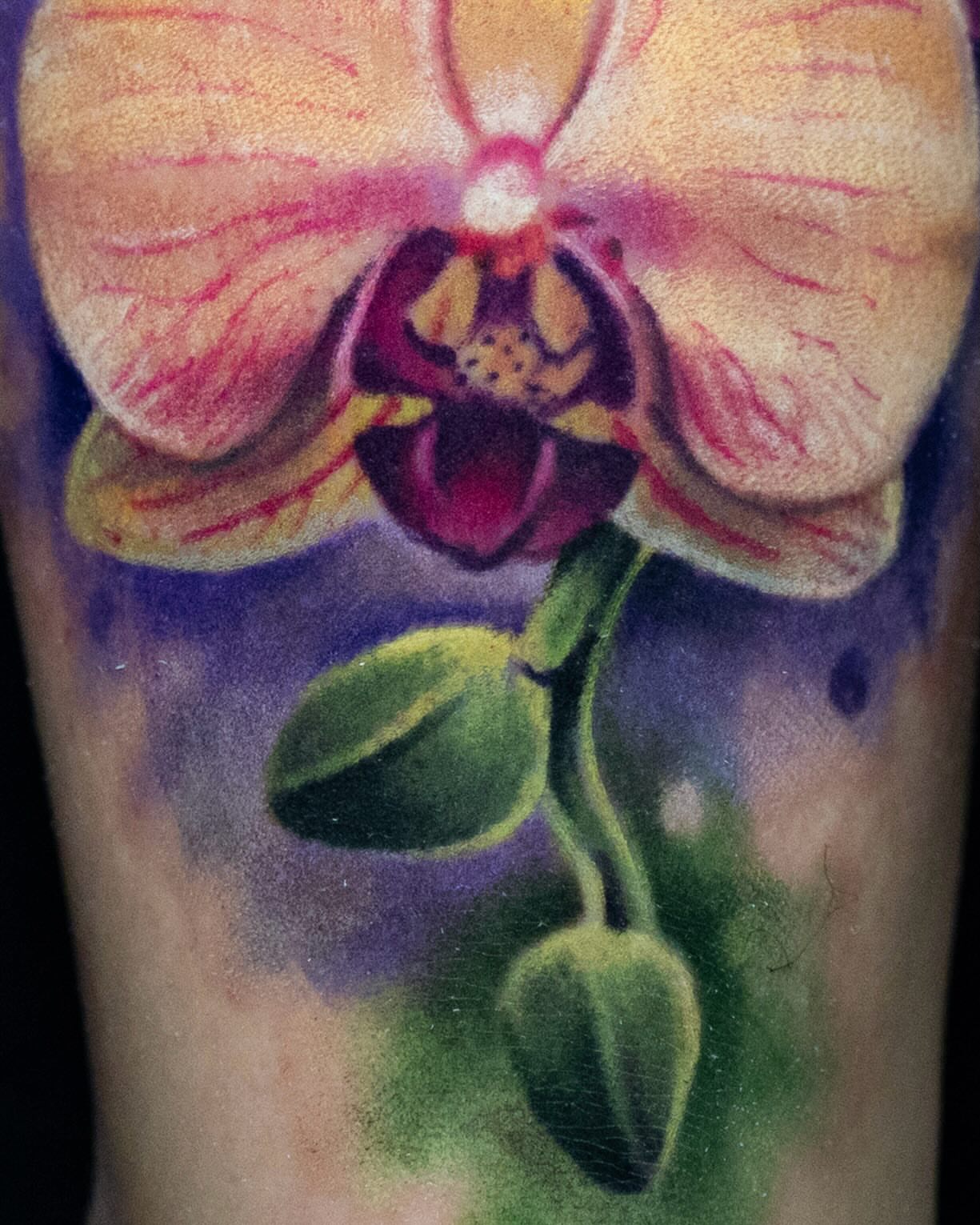 Orchid realism tattoo on the forearm by Realistic tattoos in Minneapolis, MN, Minneapolis, Minnesota