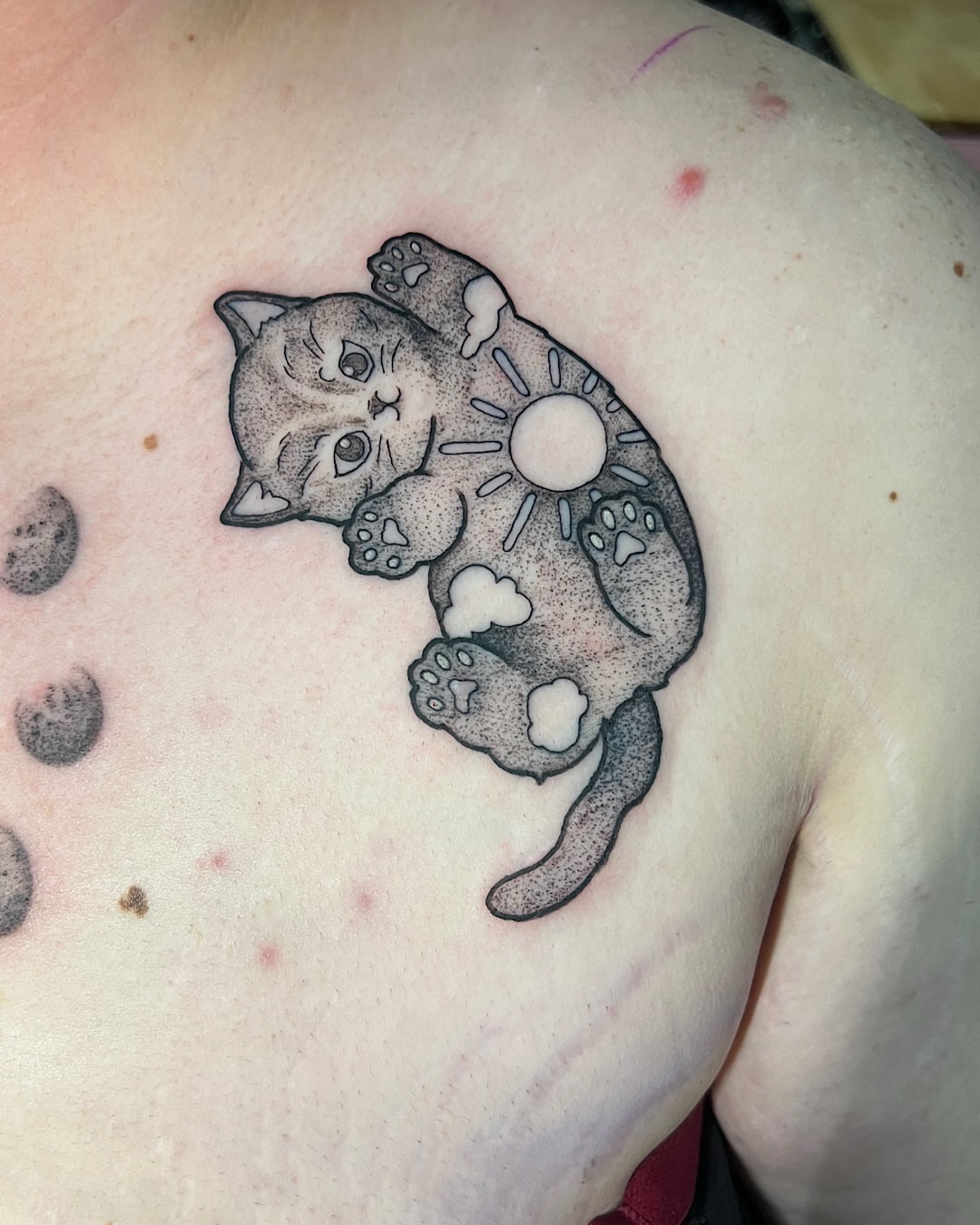 Cat dotwork tattoo on the shoulder by @shannonkeeleyy