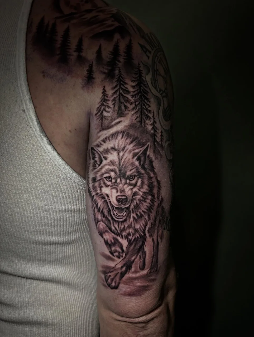 Wolf black and grey tattoo on the forearm by Dylan Stevens