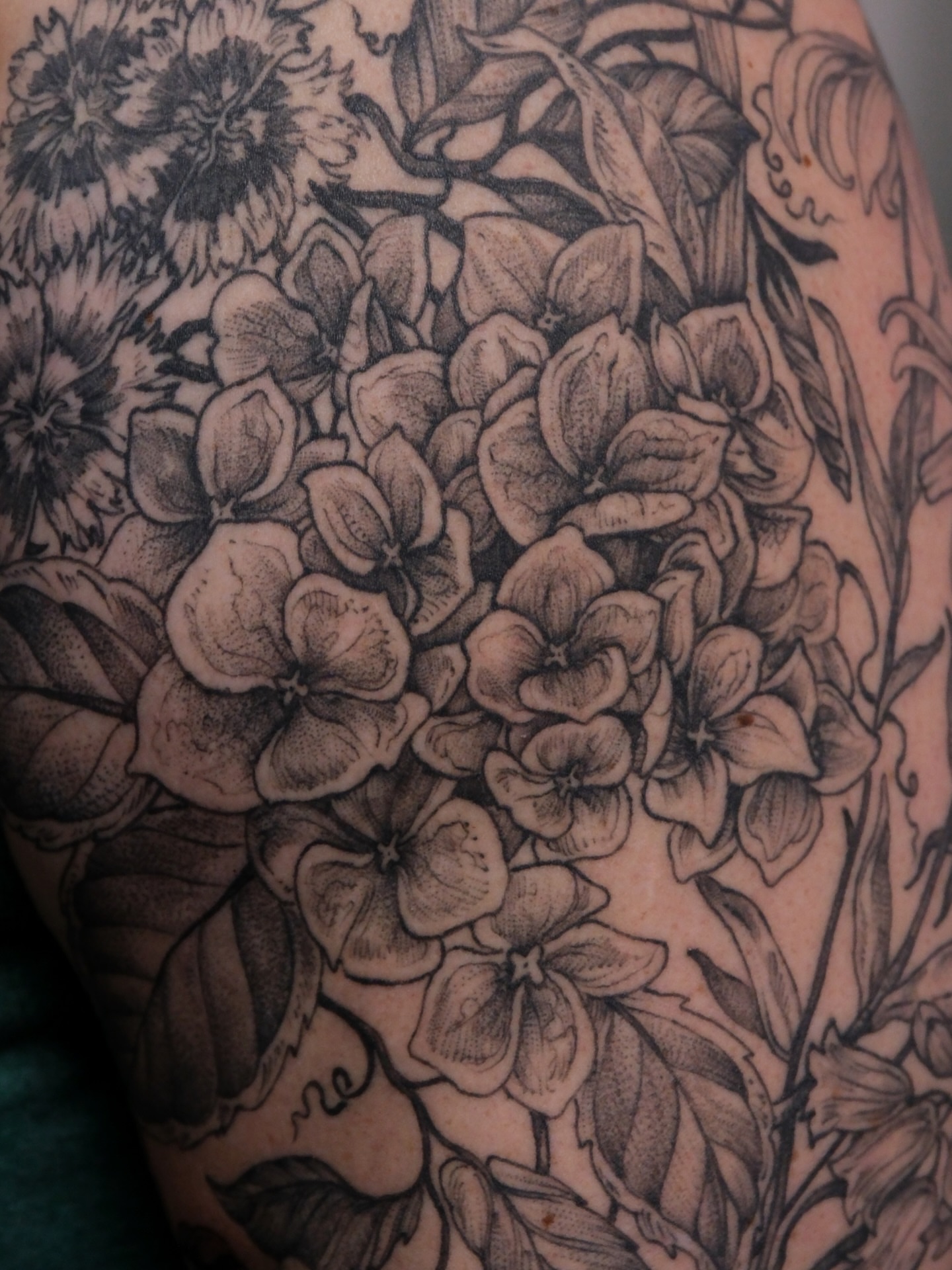 Tattoo by @fortytwojudges — dotwork, black_and_grey